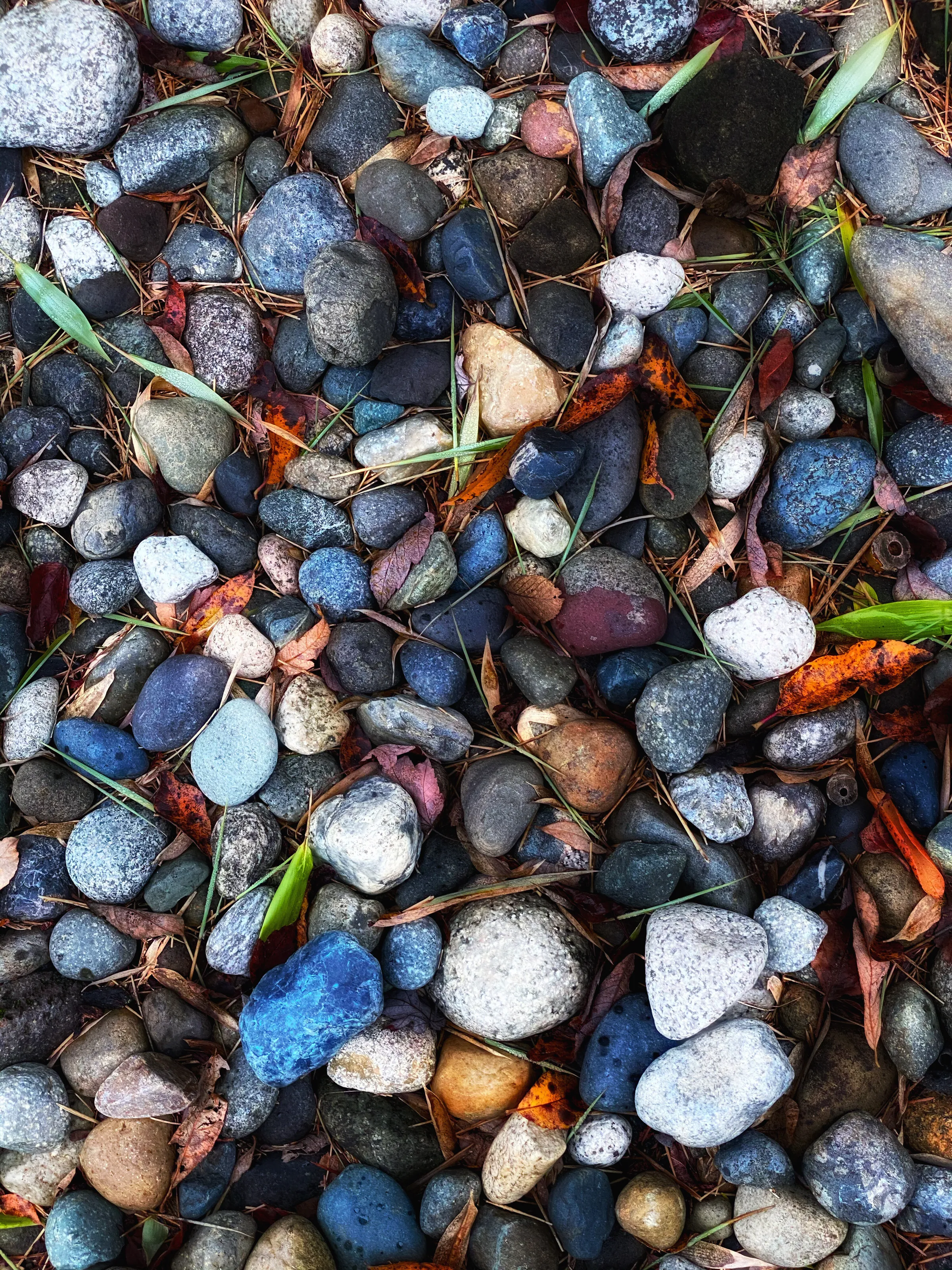 Twigs & pebbles