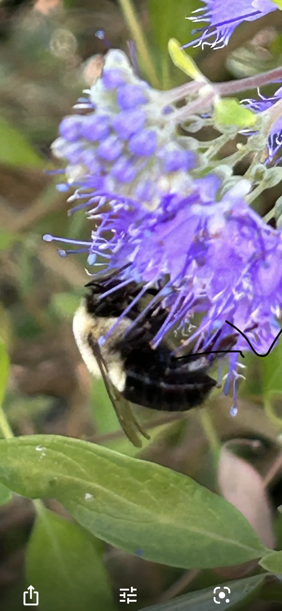 Preserving nature