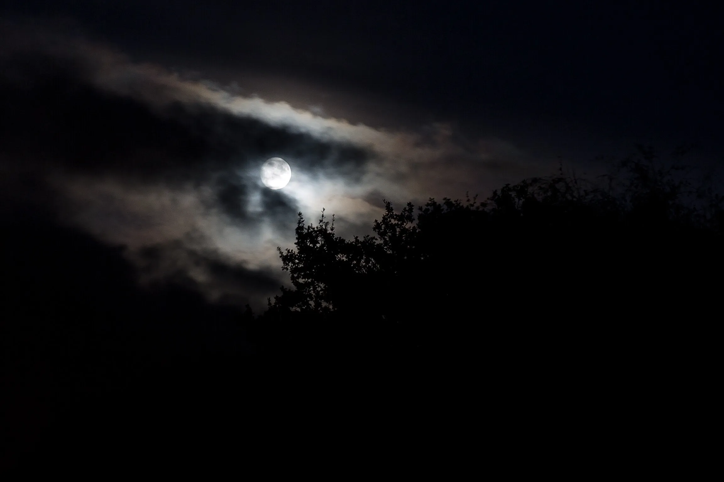 Haunting Moon