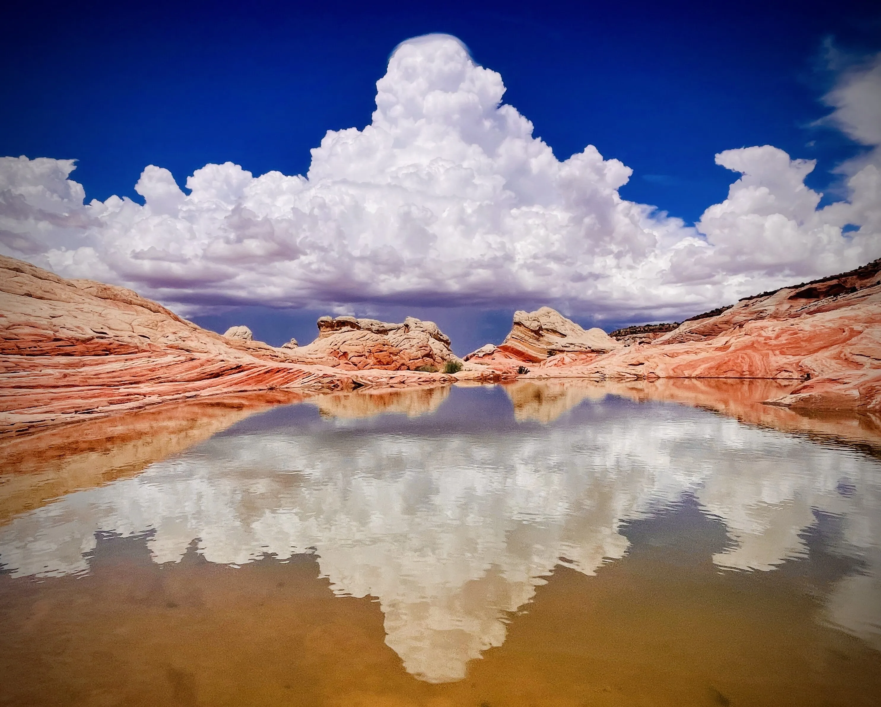 Desert Reflections