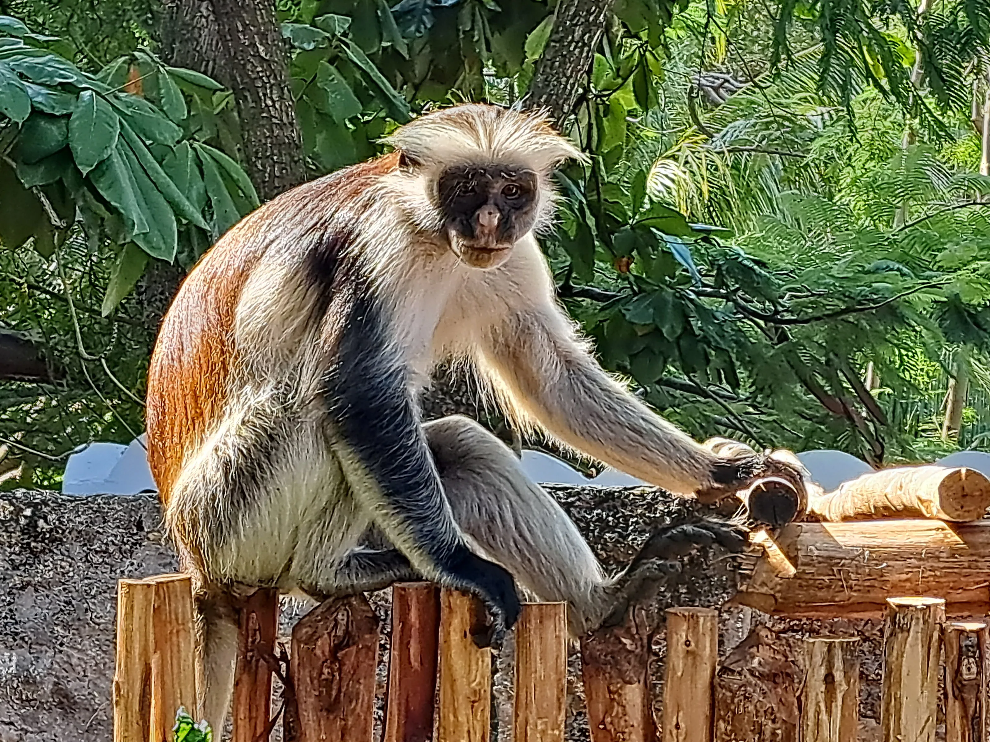 Feeling relaxed