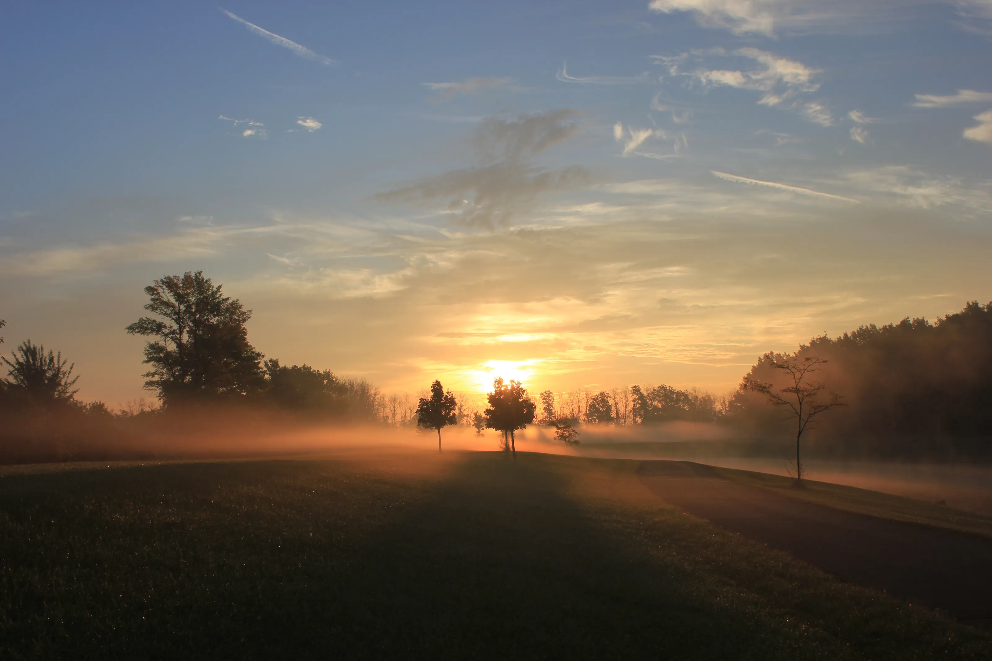 Misty