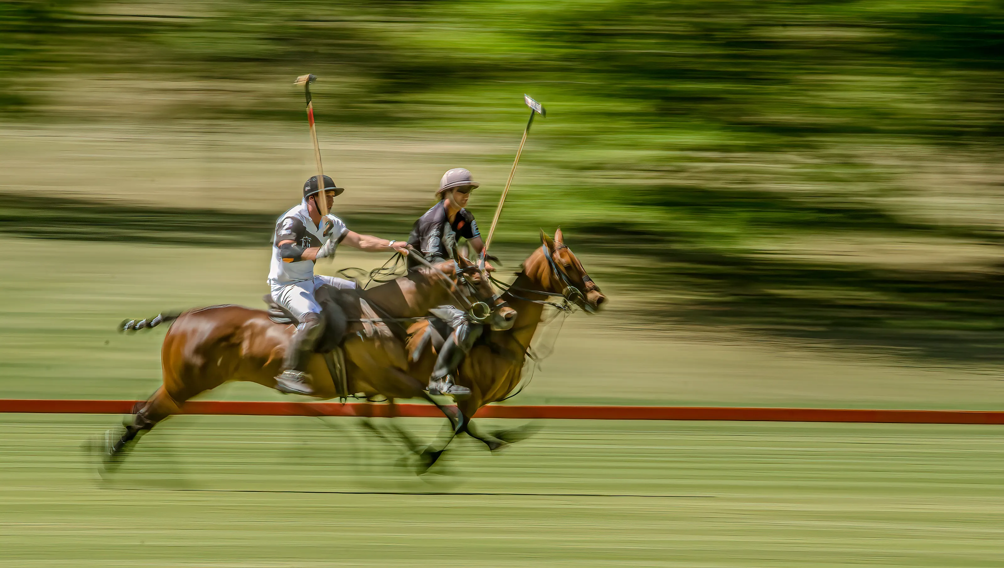 Polo Action