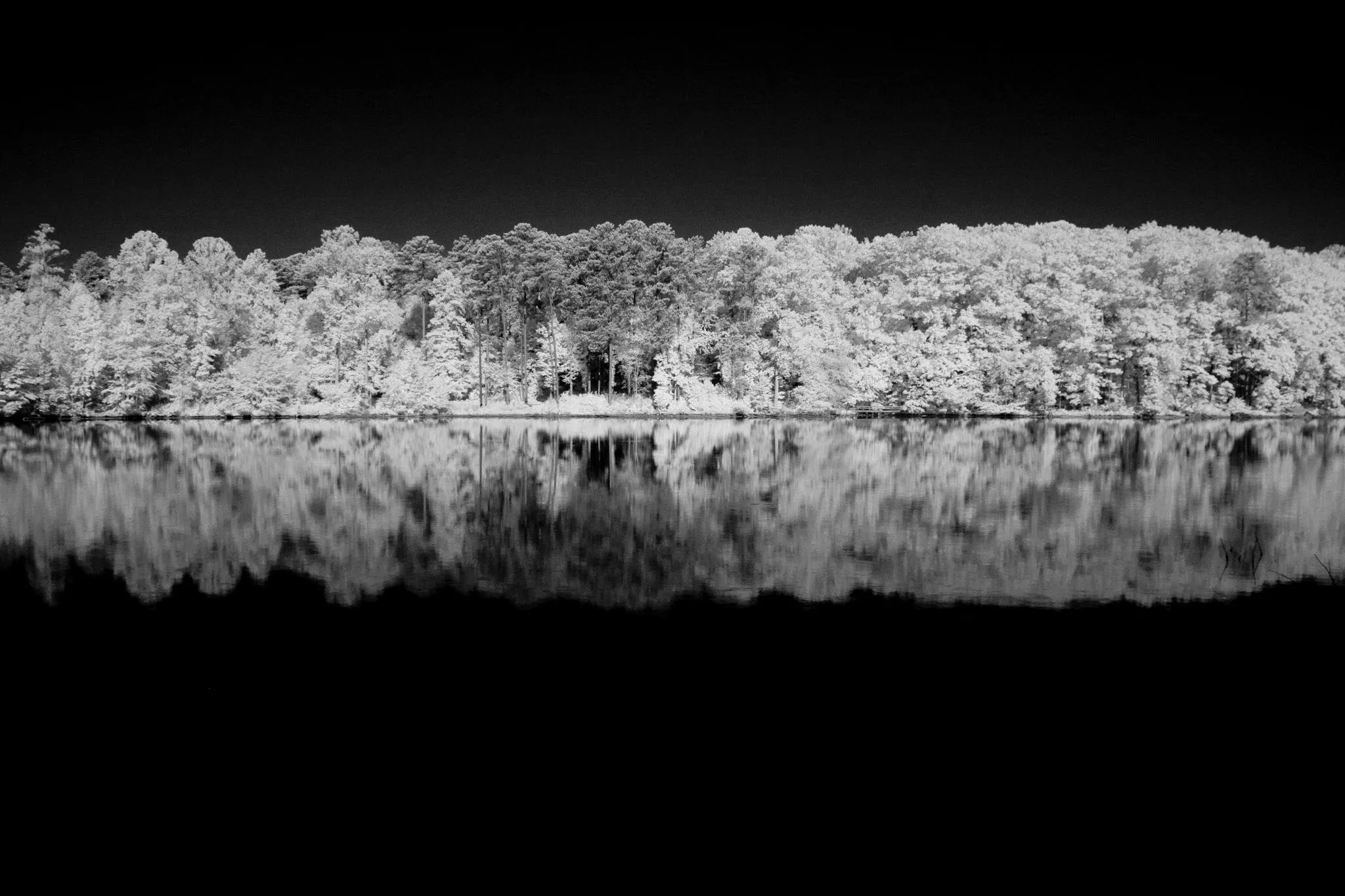 Georgia Reflective Landscape