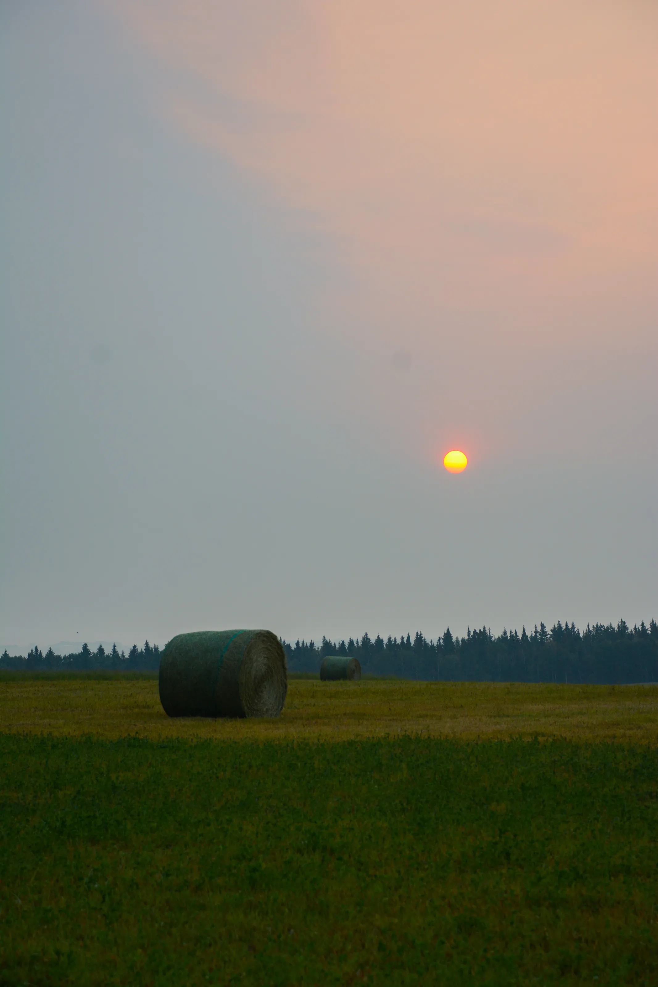 Alberta Sunrise