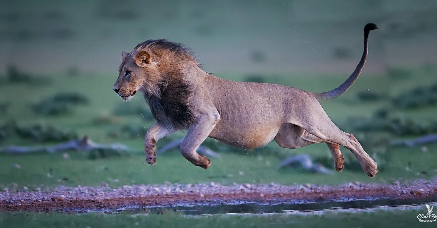 Titan Leap