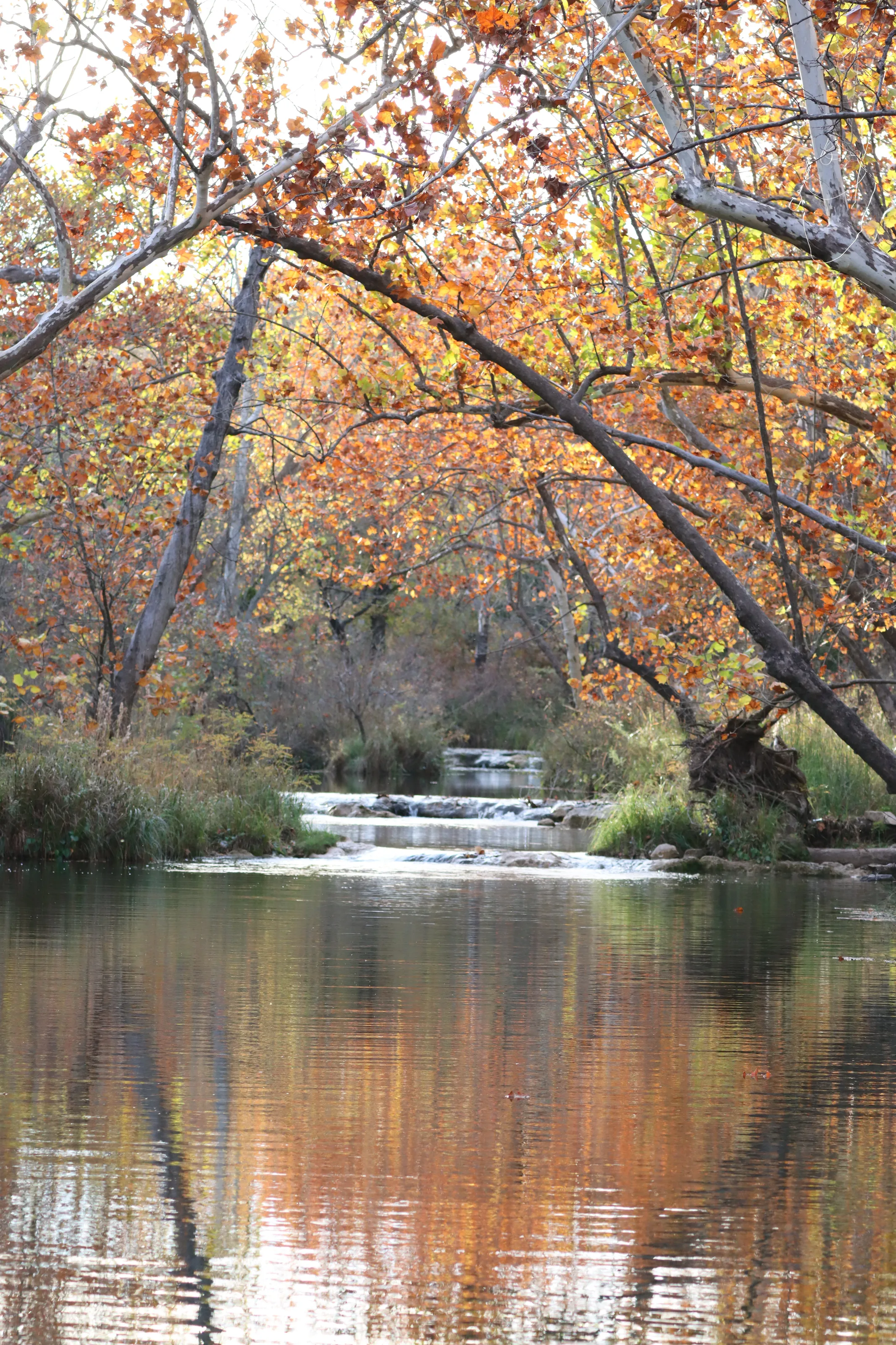 Turner Falls in the Fall