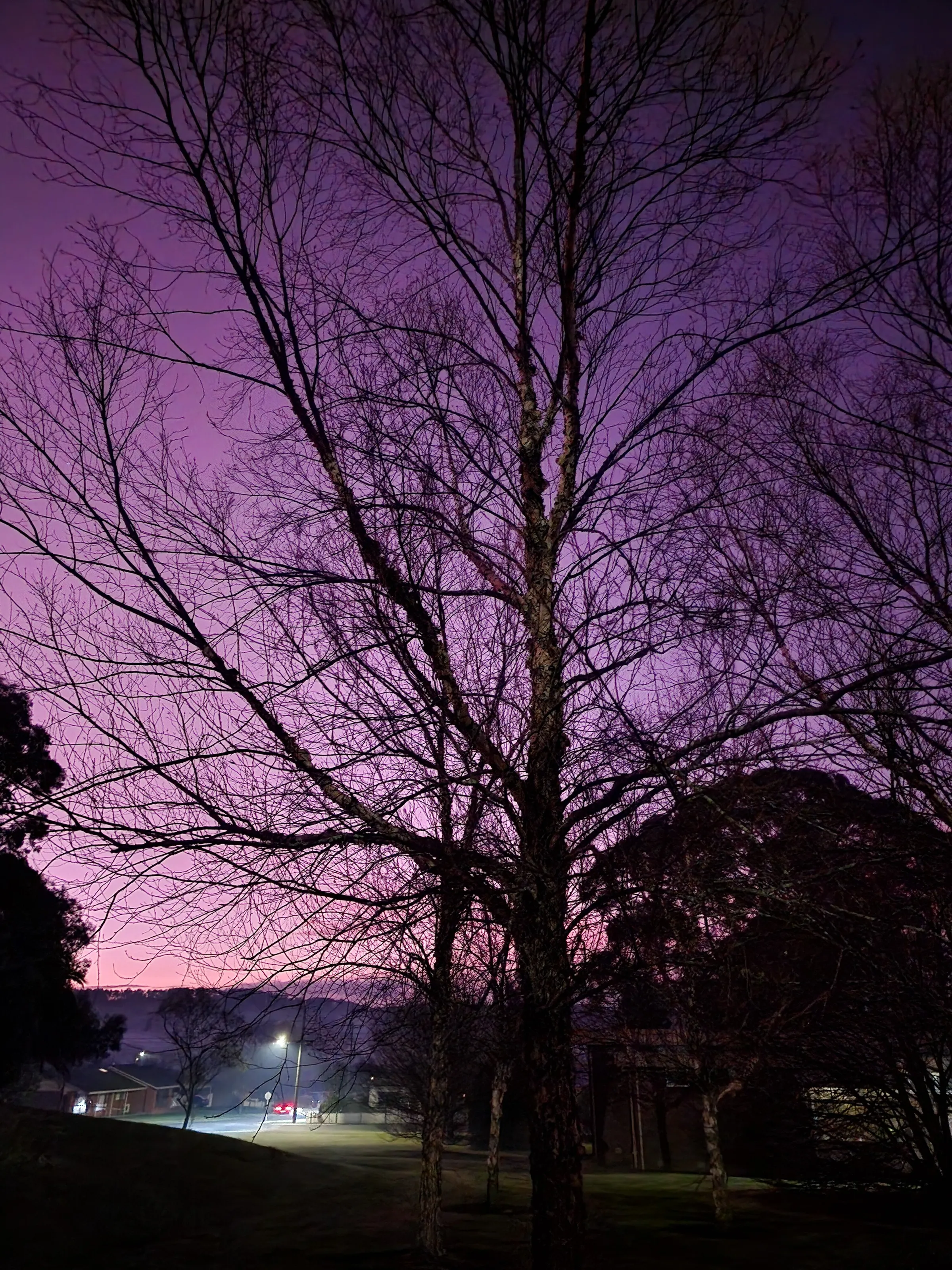 Banner image