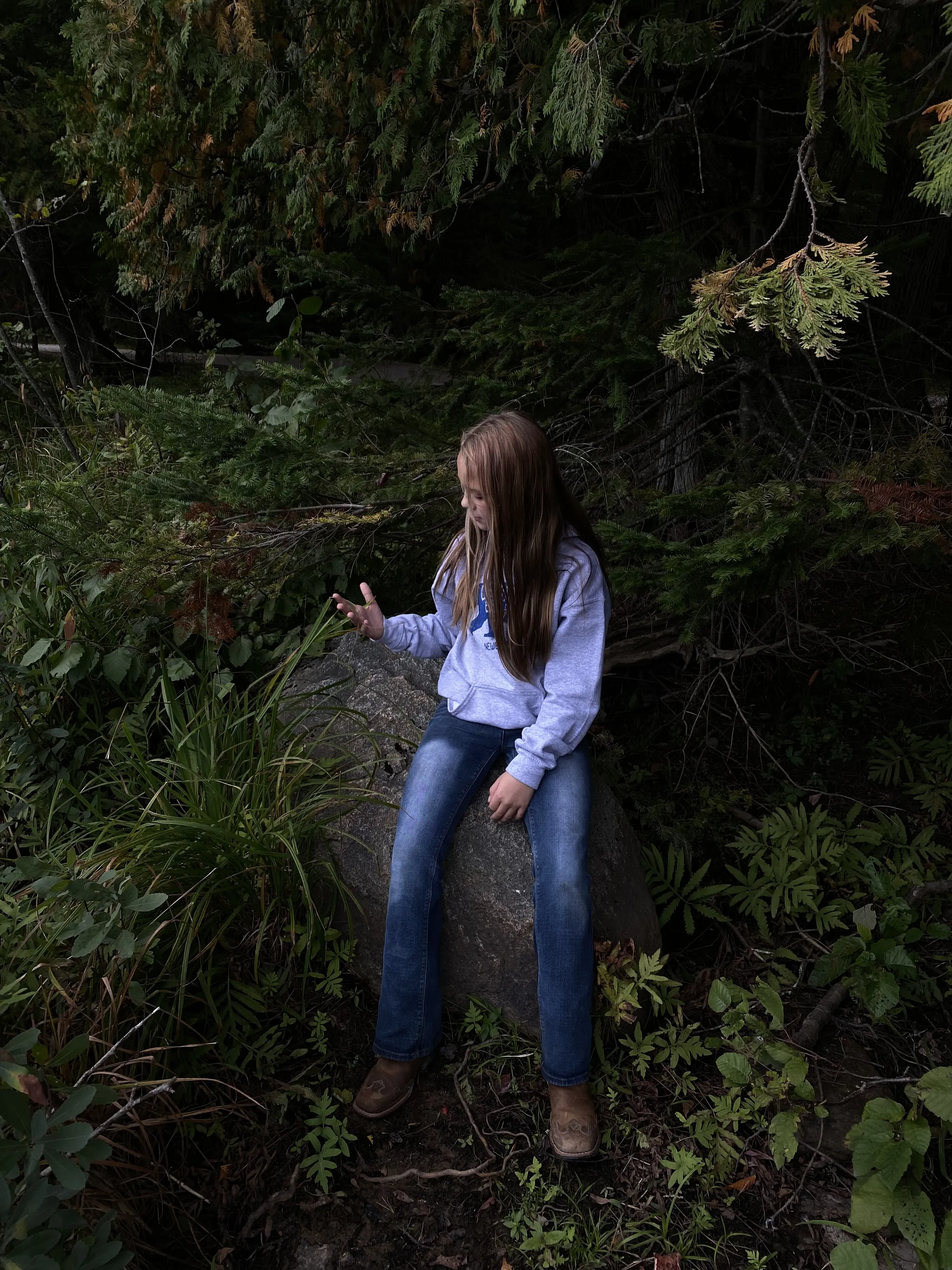 Humans and nature