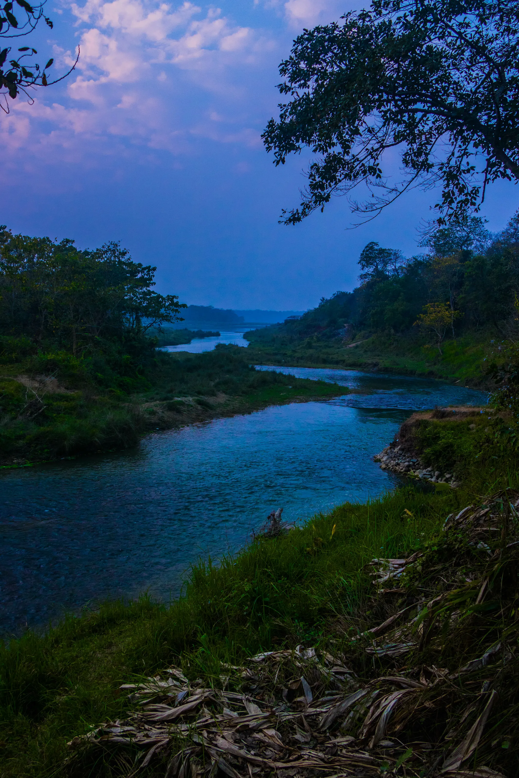 The Snake of Chitwan