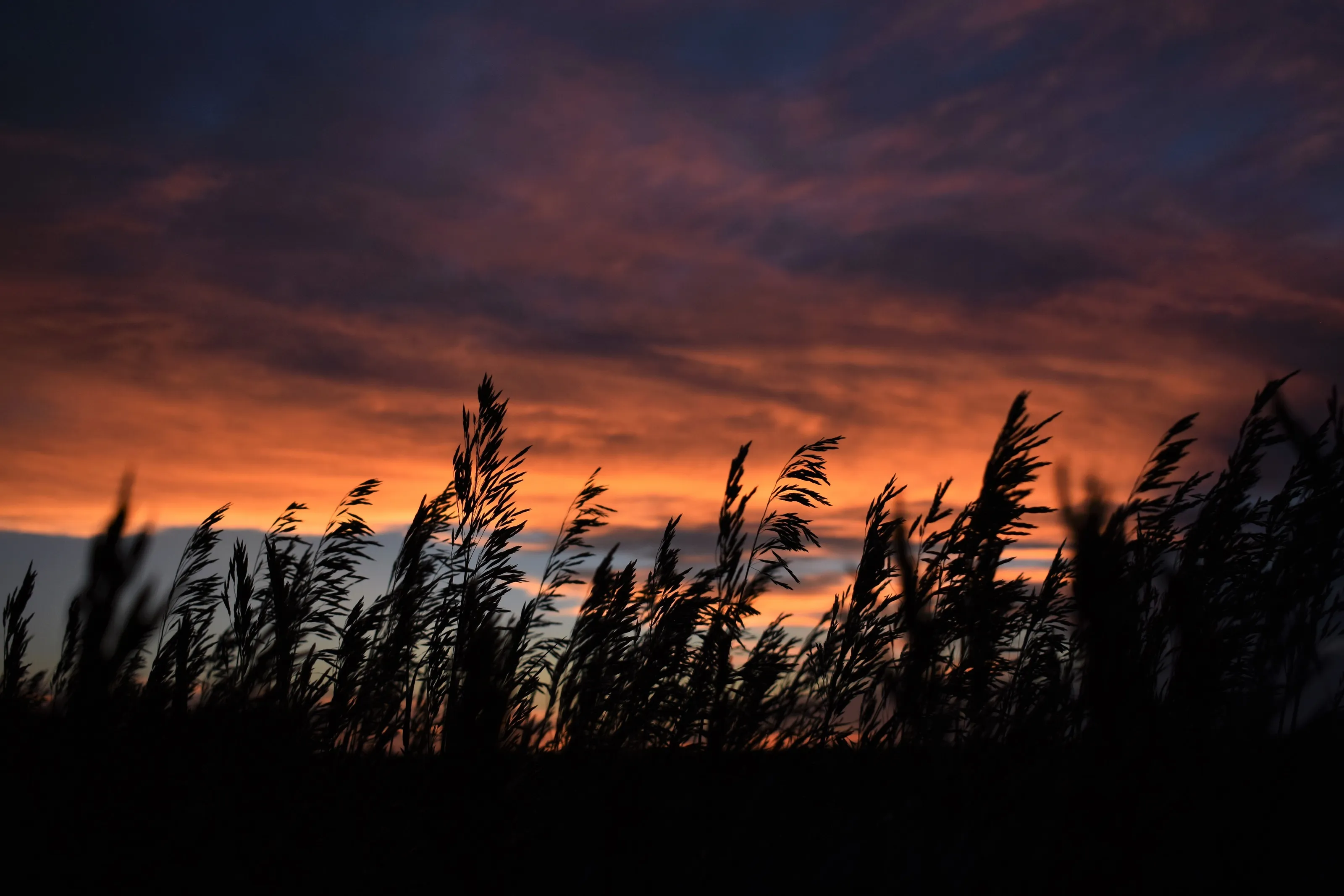 Nebraska Sunset