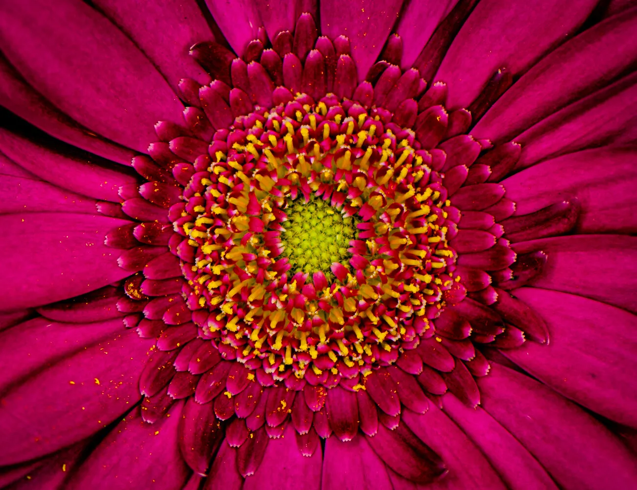Starburst