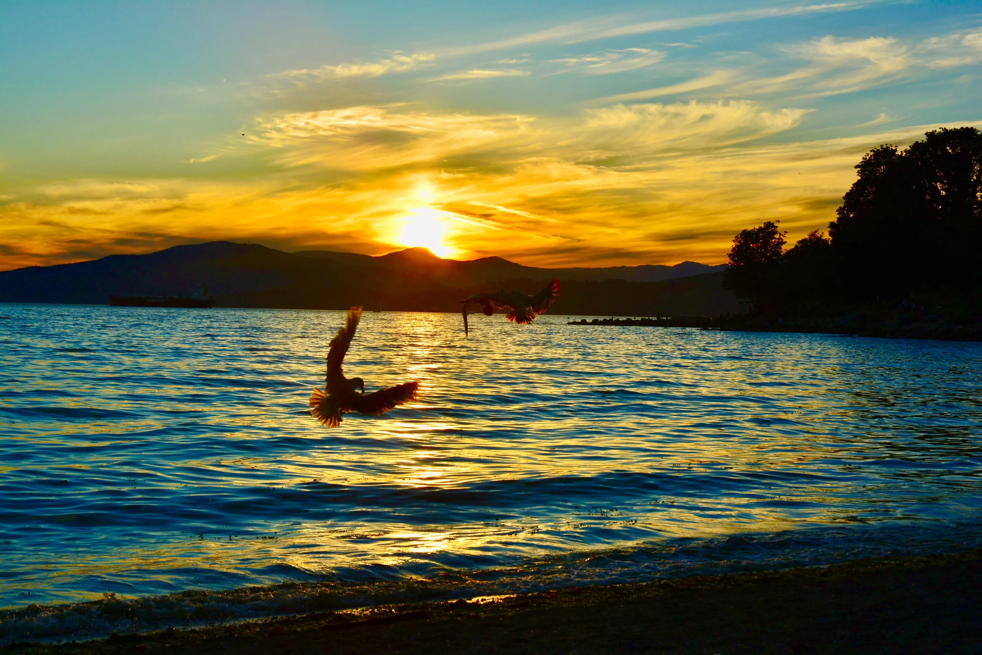 English Bay