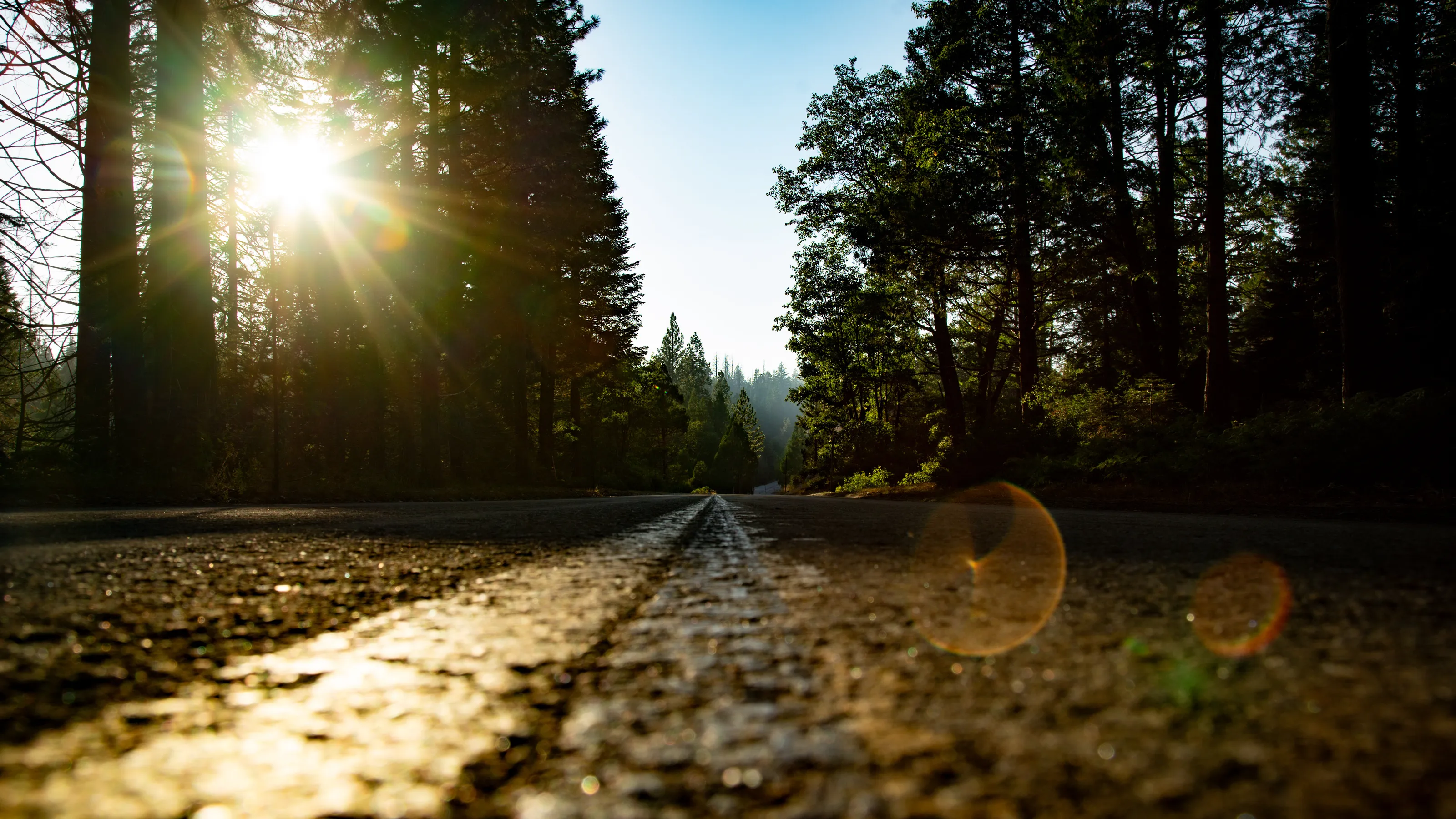 The Road Ahead
