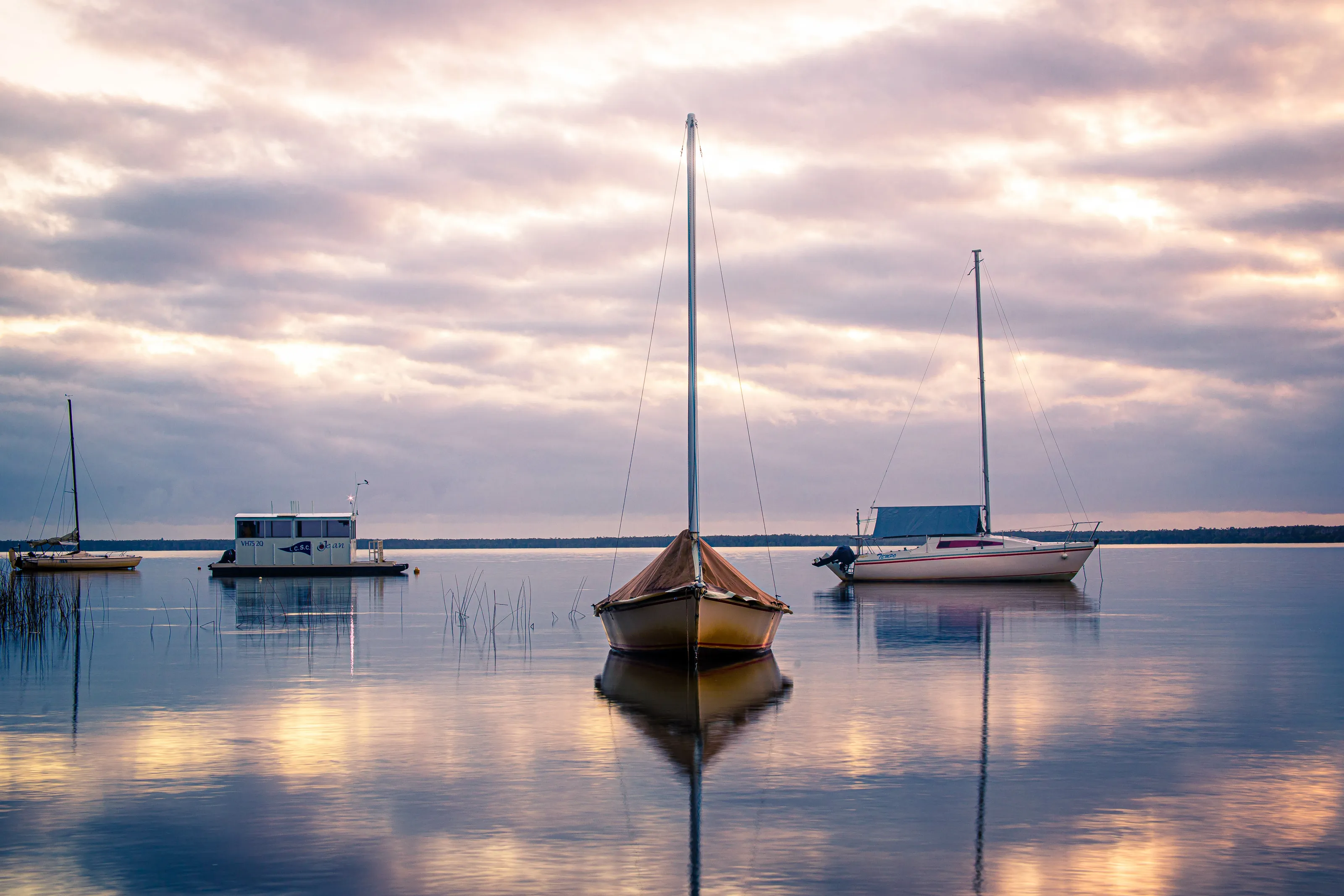 boats