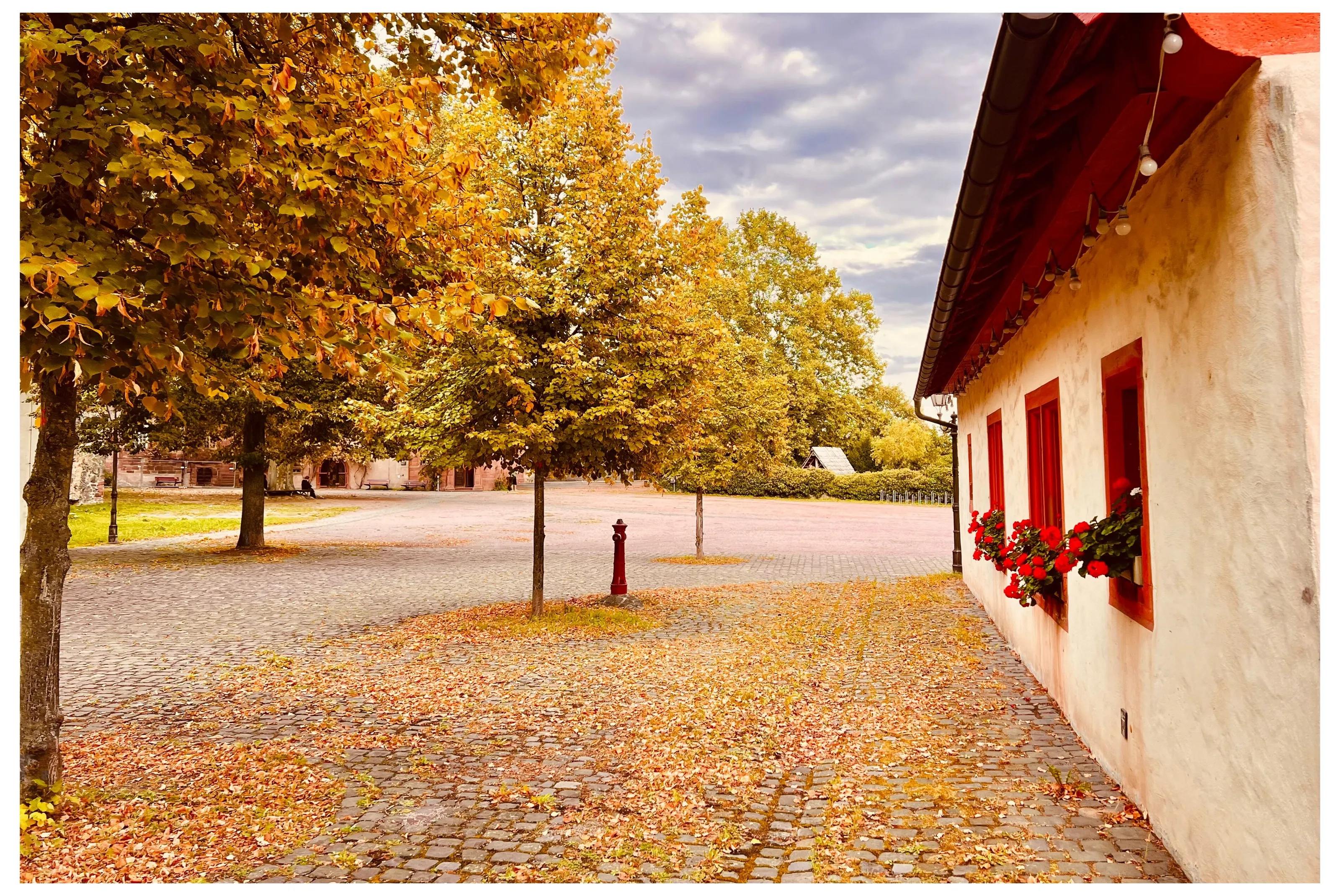 Fall