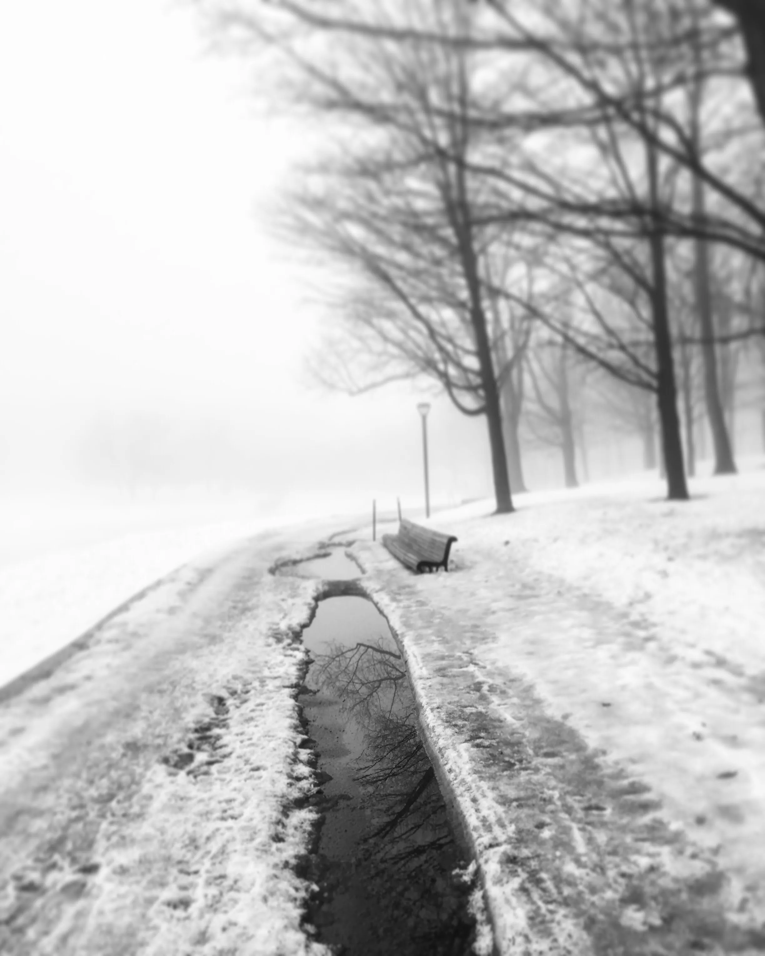 A foggy and icy walk