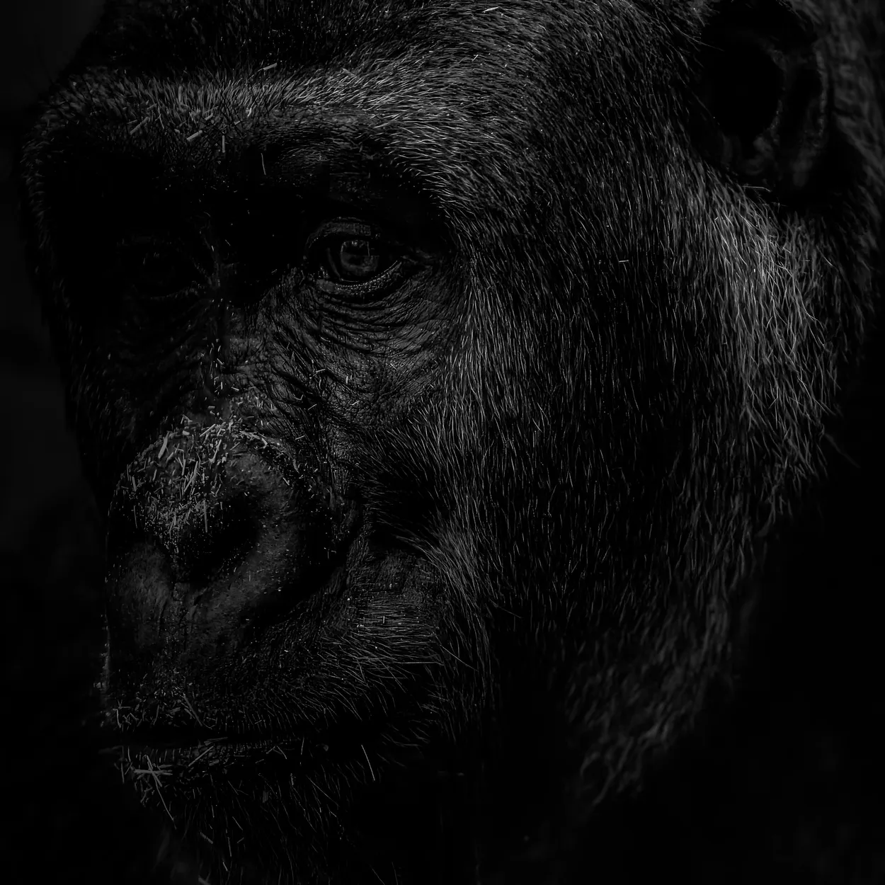Thinking in the shadows
