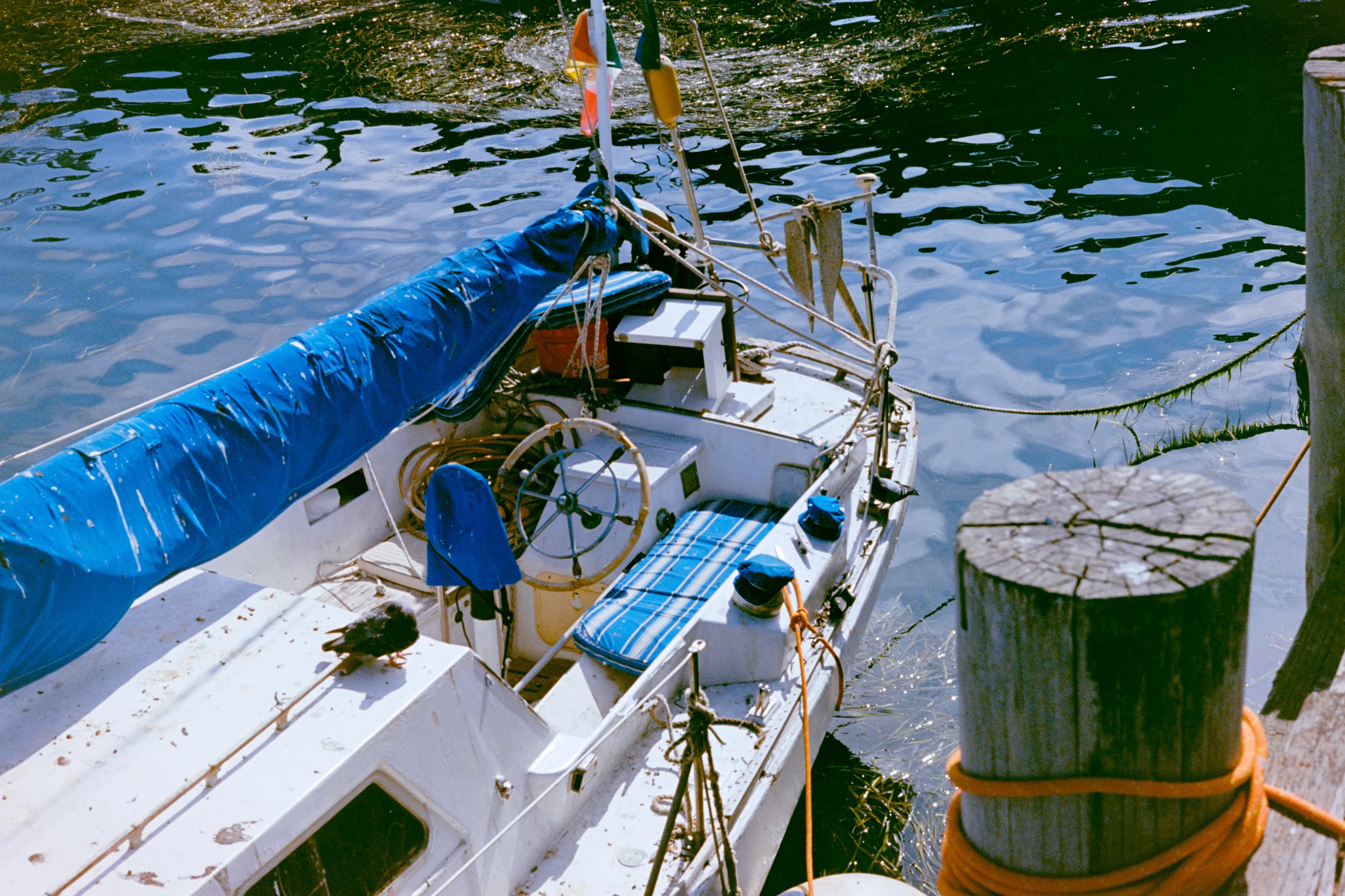 Morro Bay Harbor