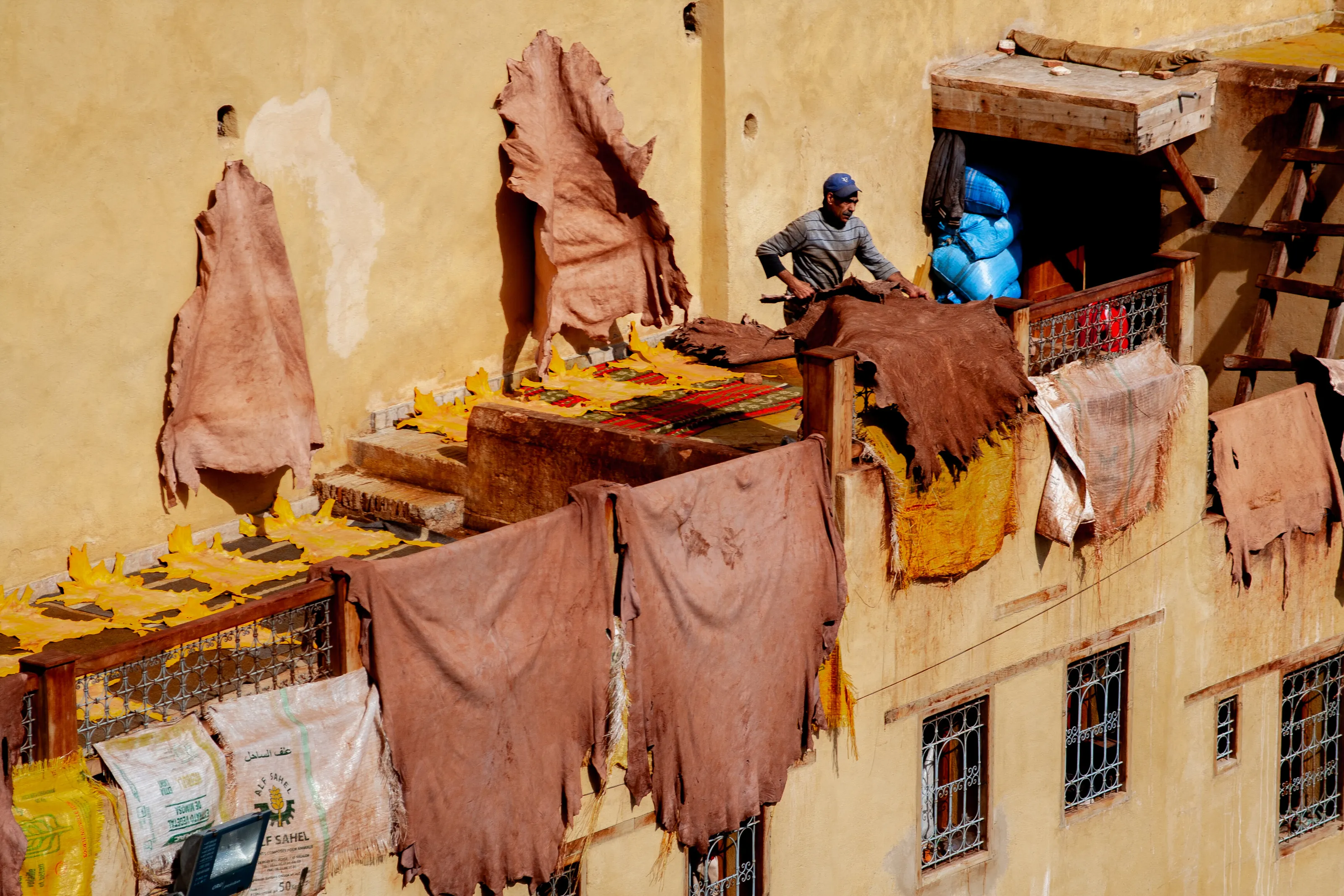 Afternoon Tannery