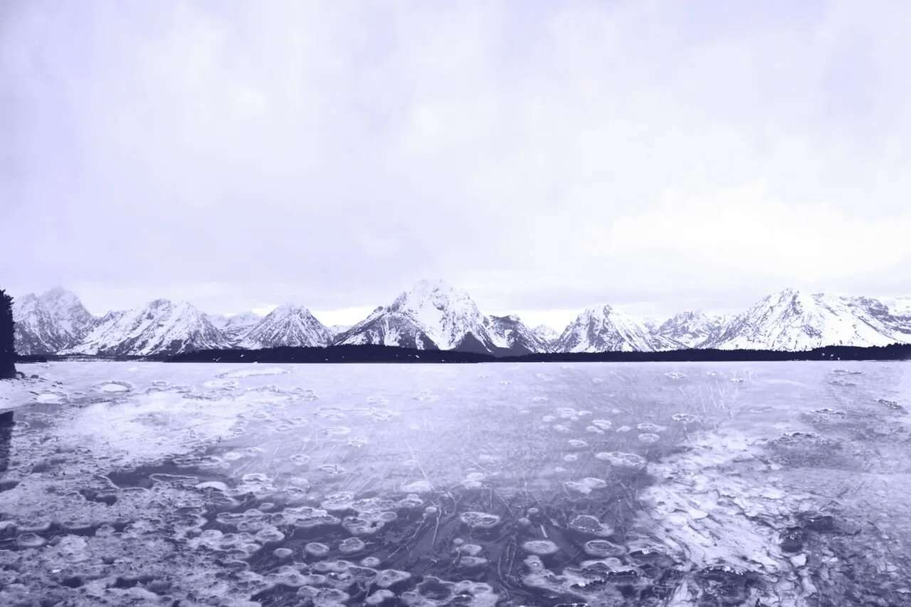 Iced Grand Teton National Park