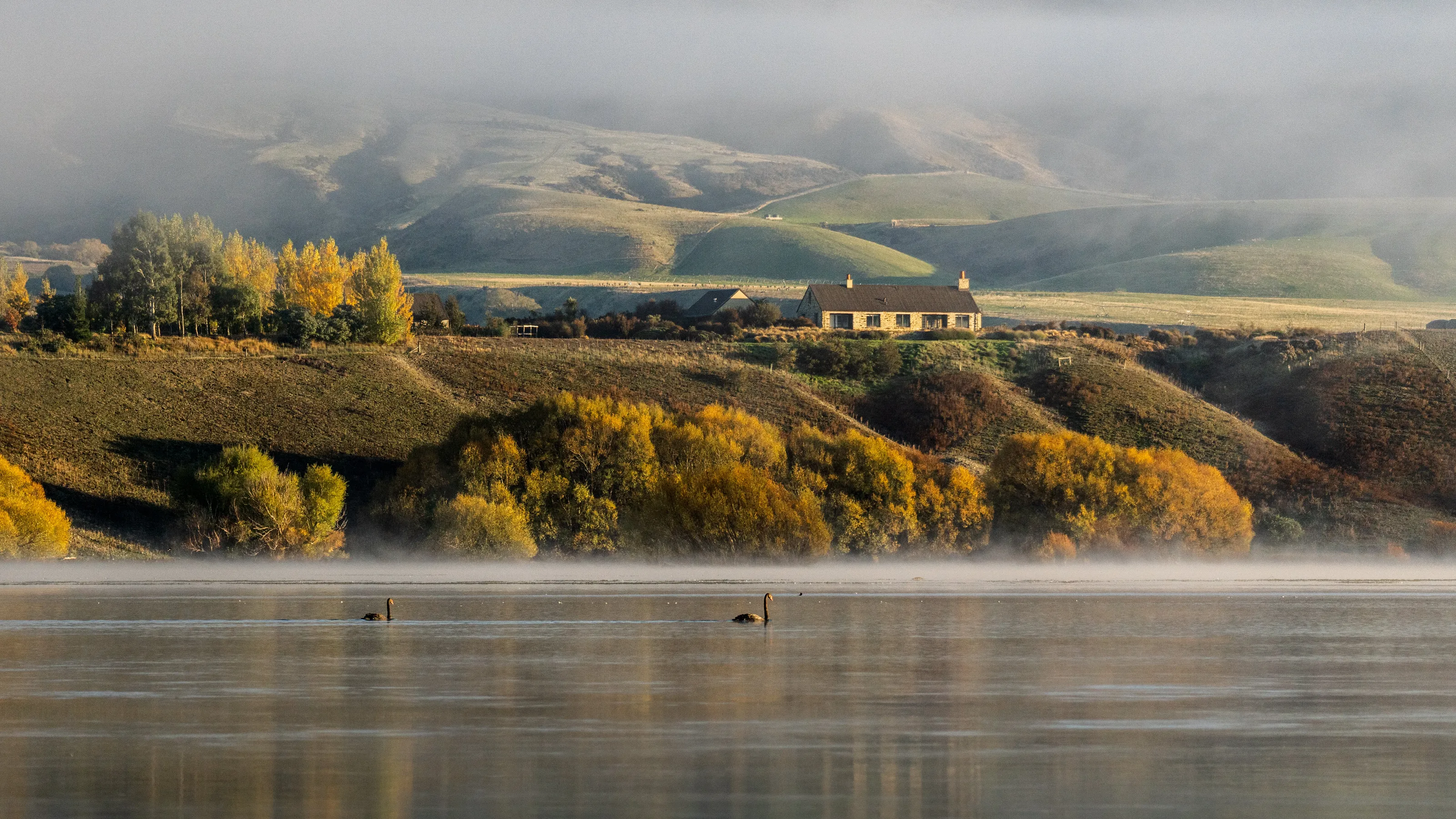 Morning in NZ