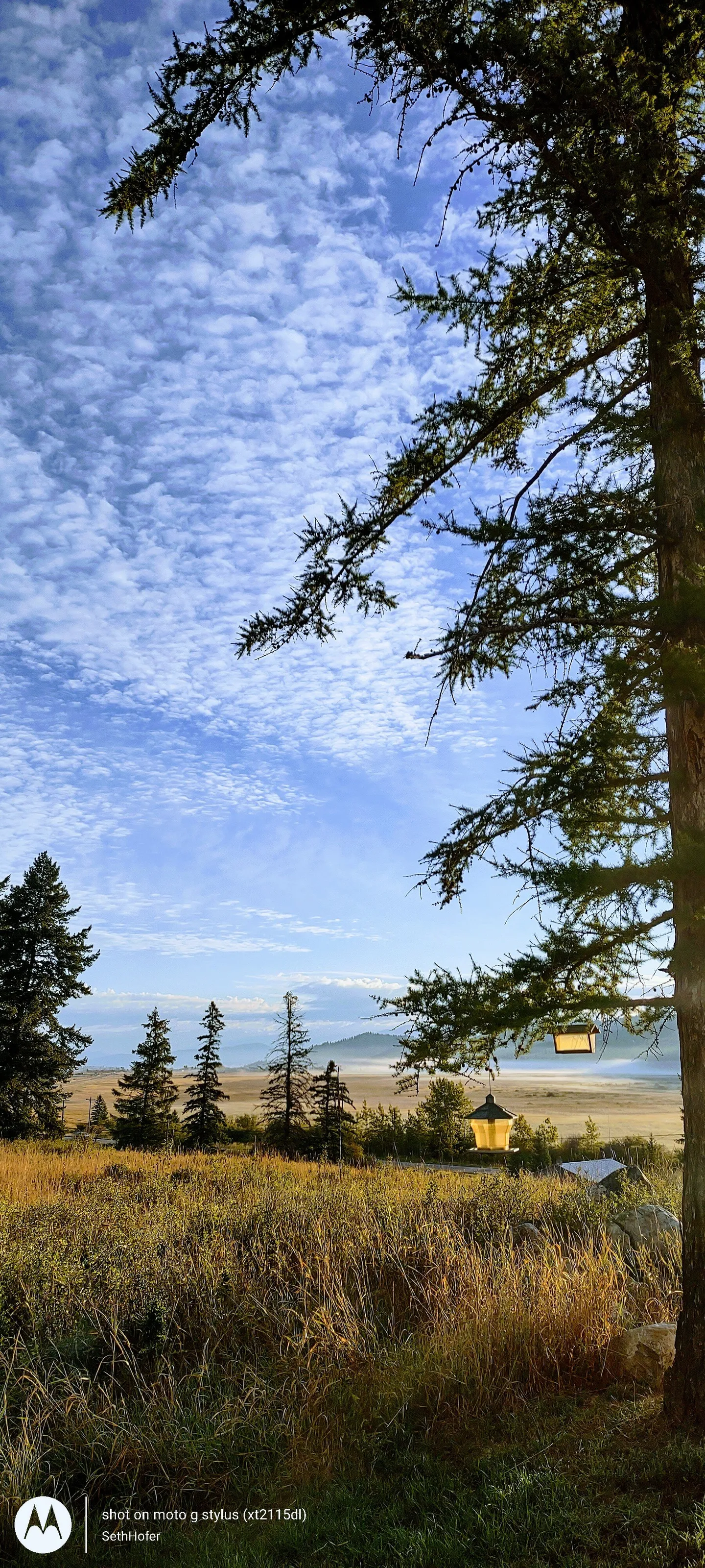 Country Morning