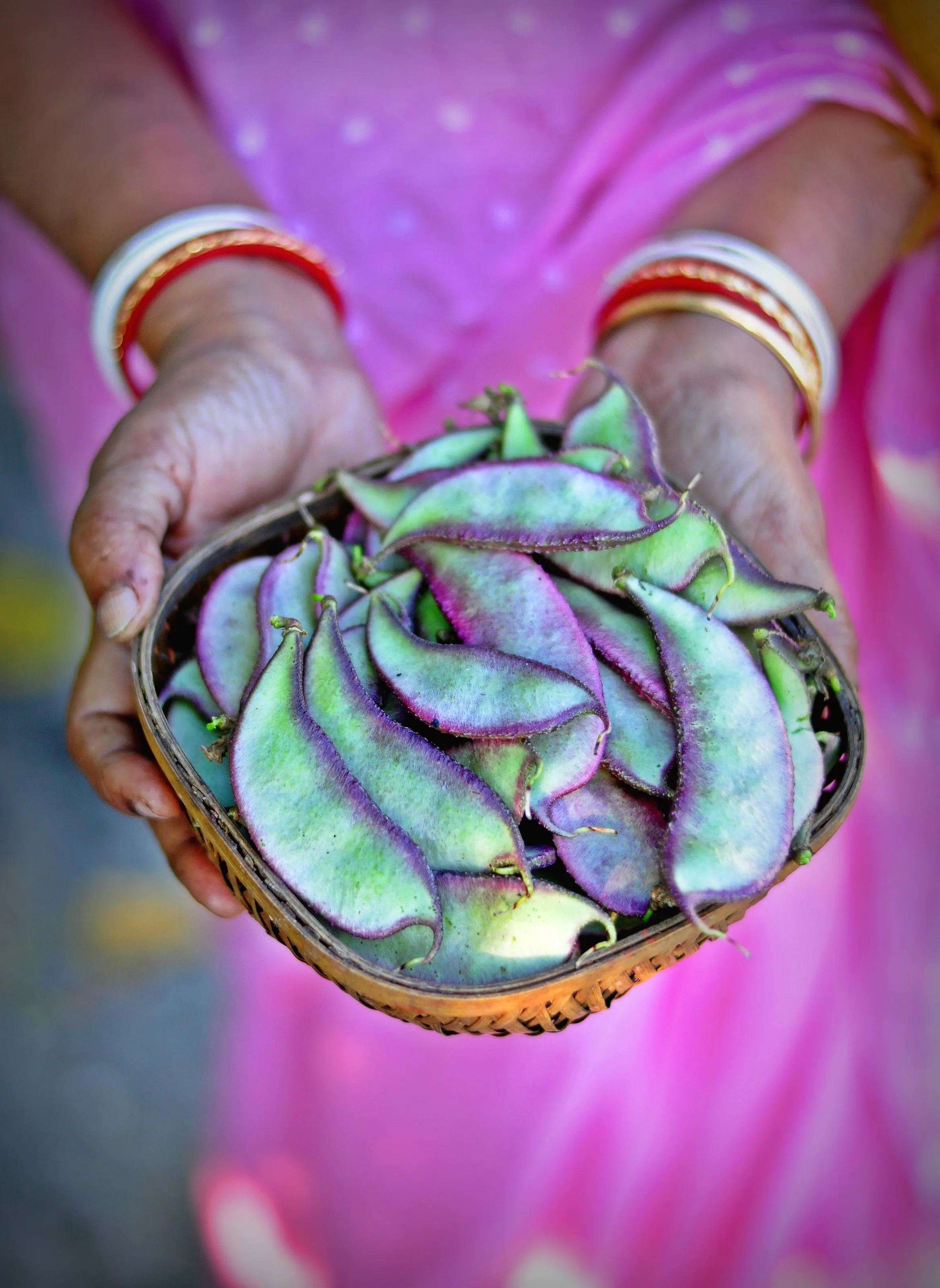 Freshly Picked Hyacinth Beans