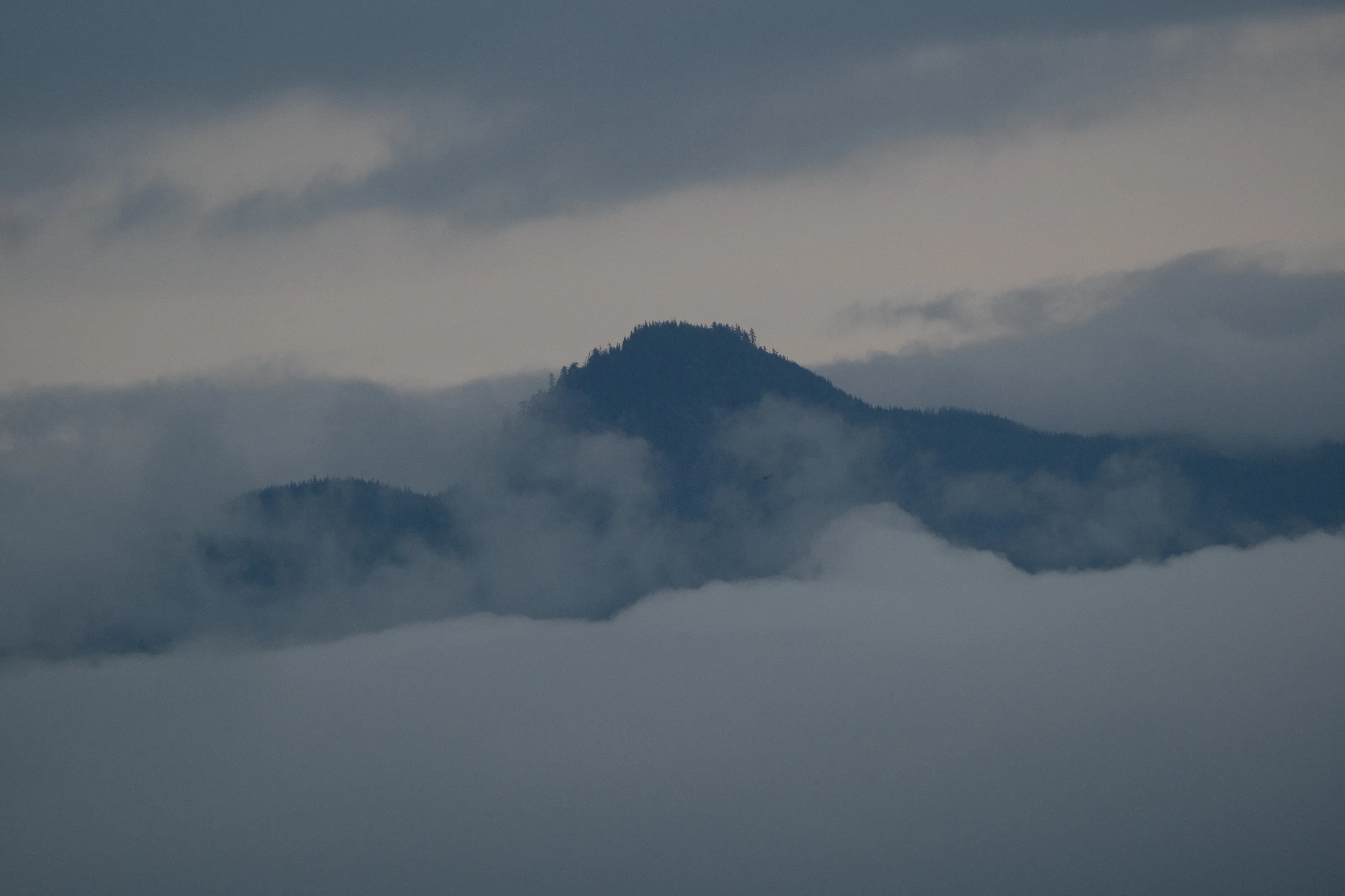 Mountain Mist