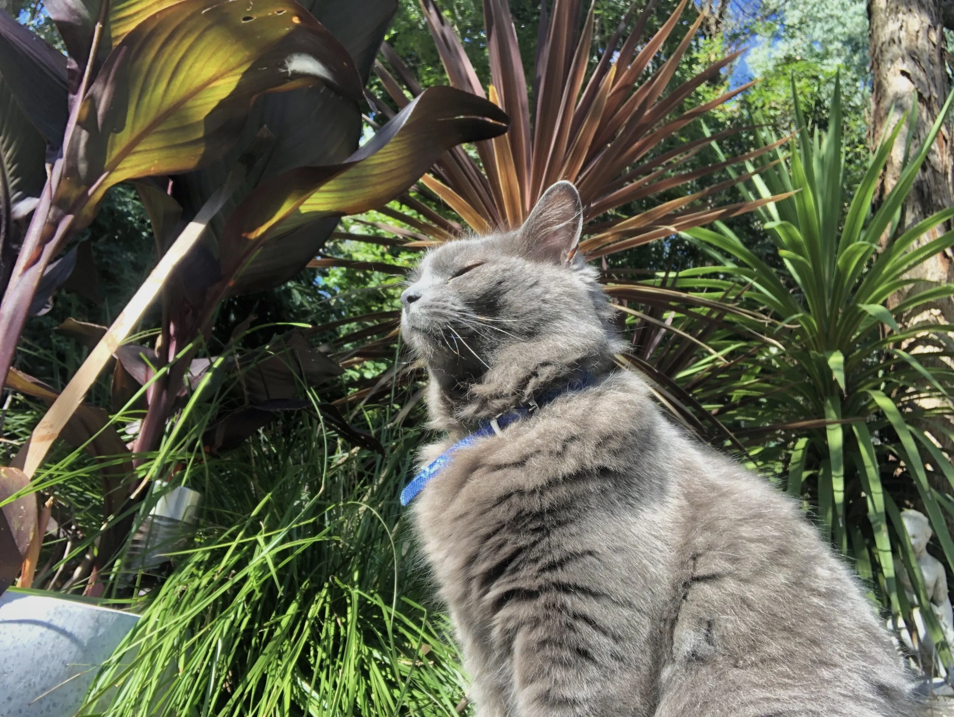 Sunbaking