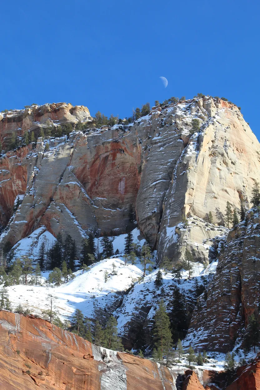 Entry 17966005