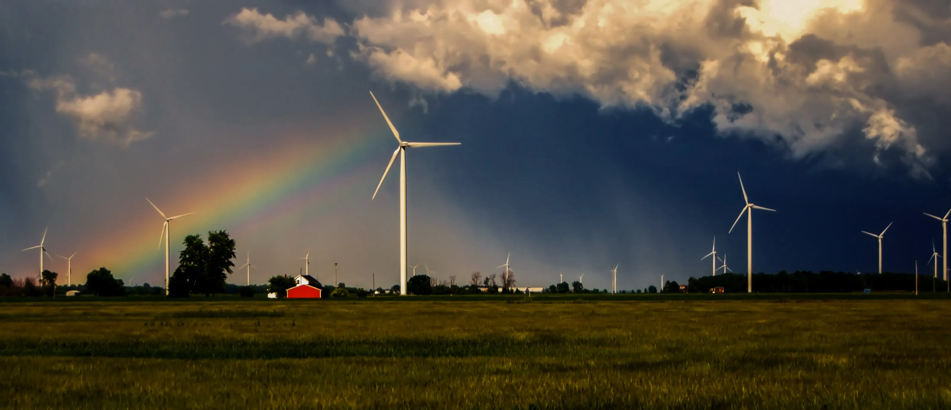 After the Storm