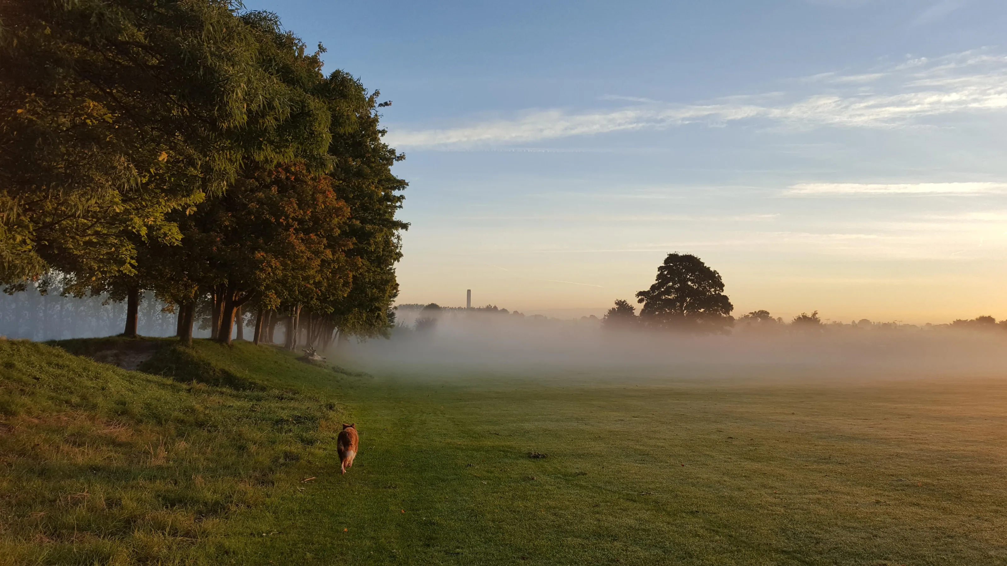 Low ground mist