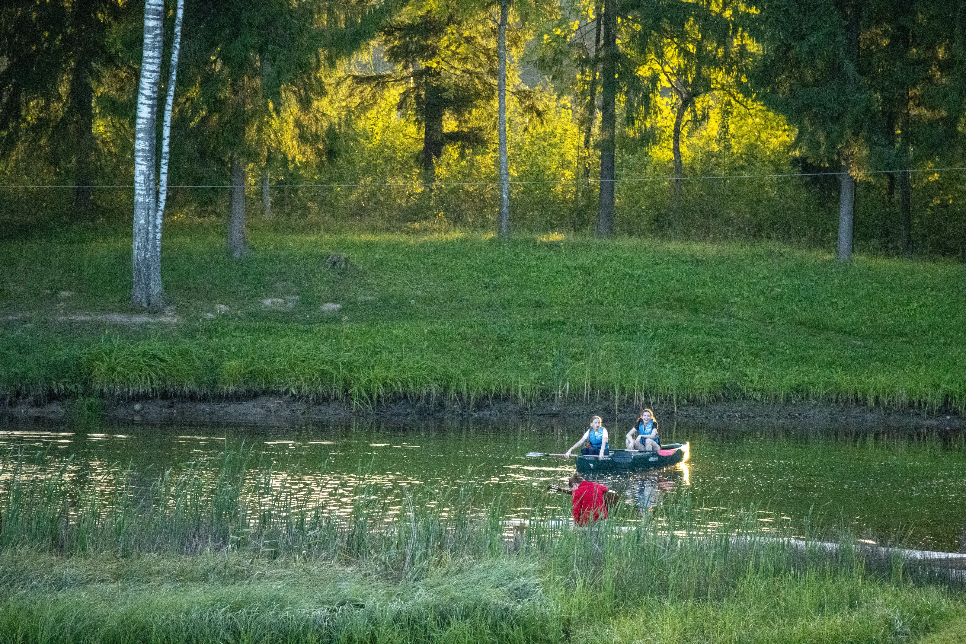 Tranquil Twilight: Lakeside Serenity Beneath the Trees