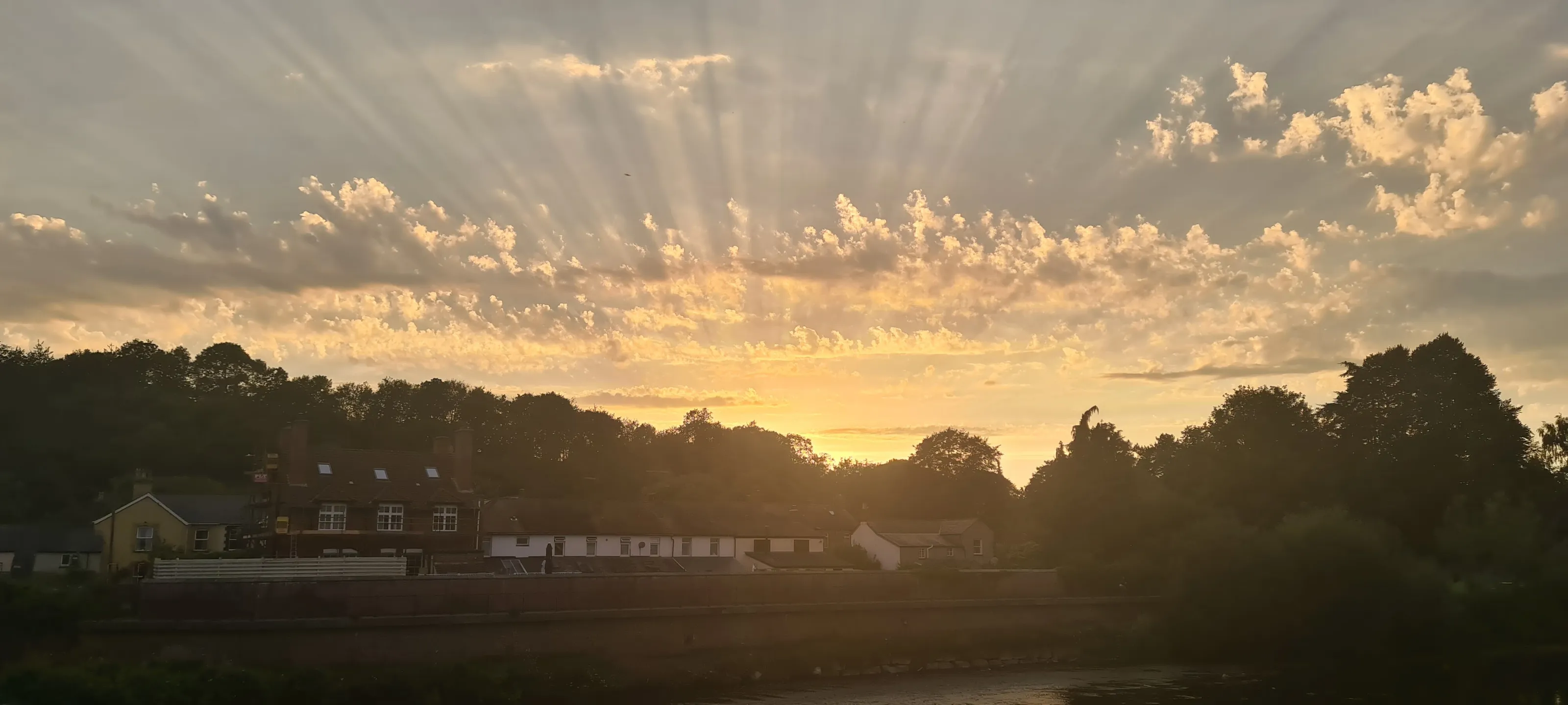 turned to find the light