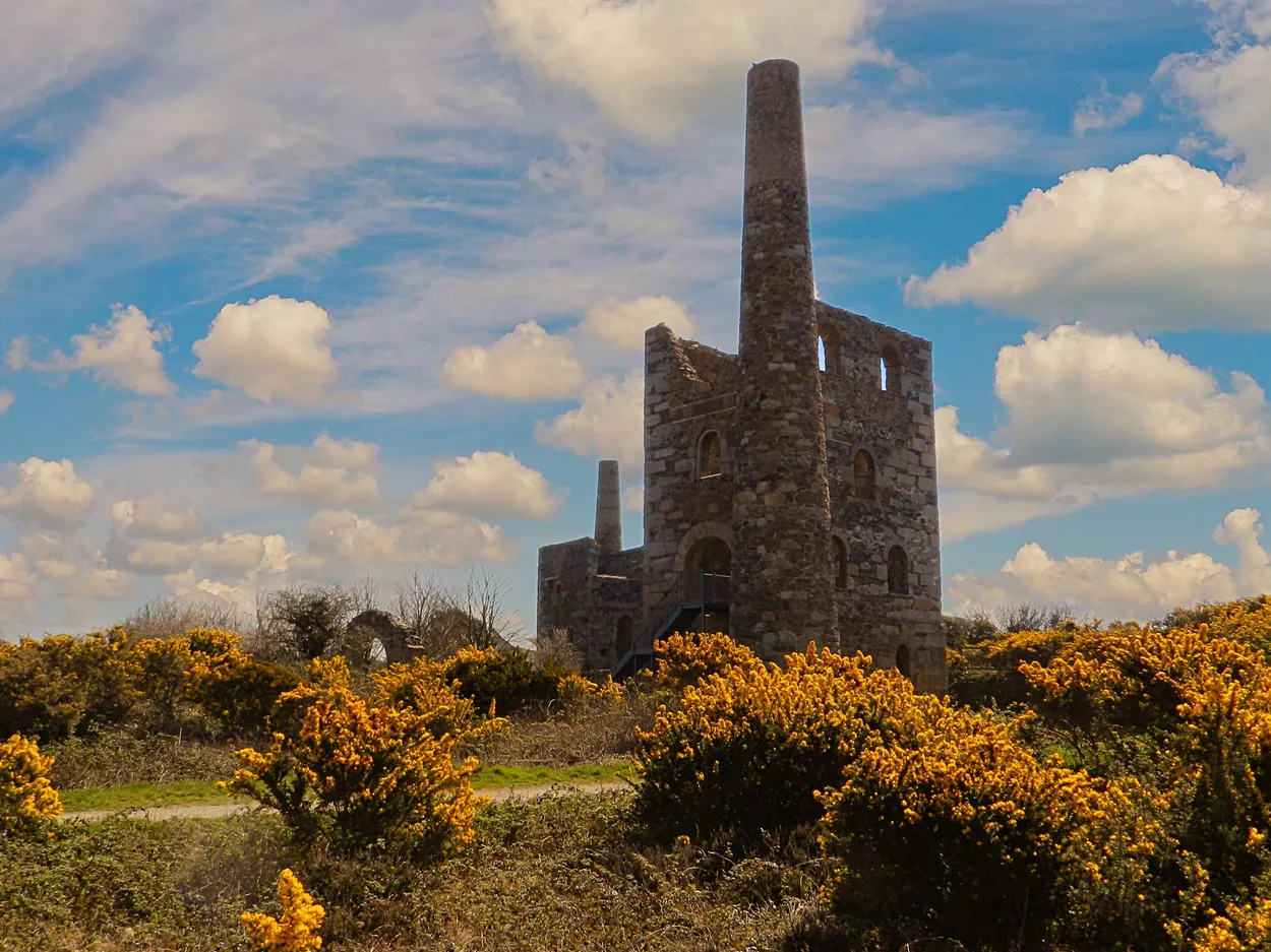 Entry 17993284