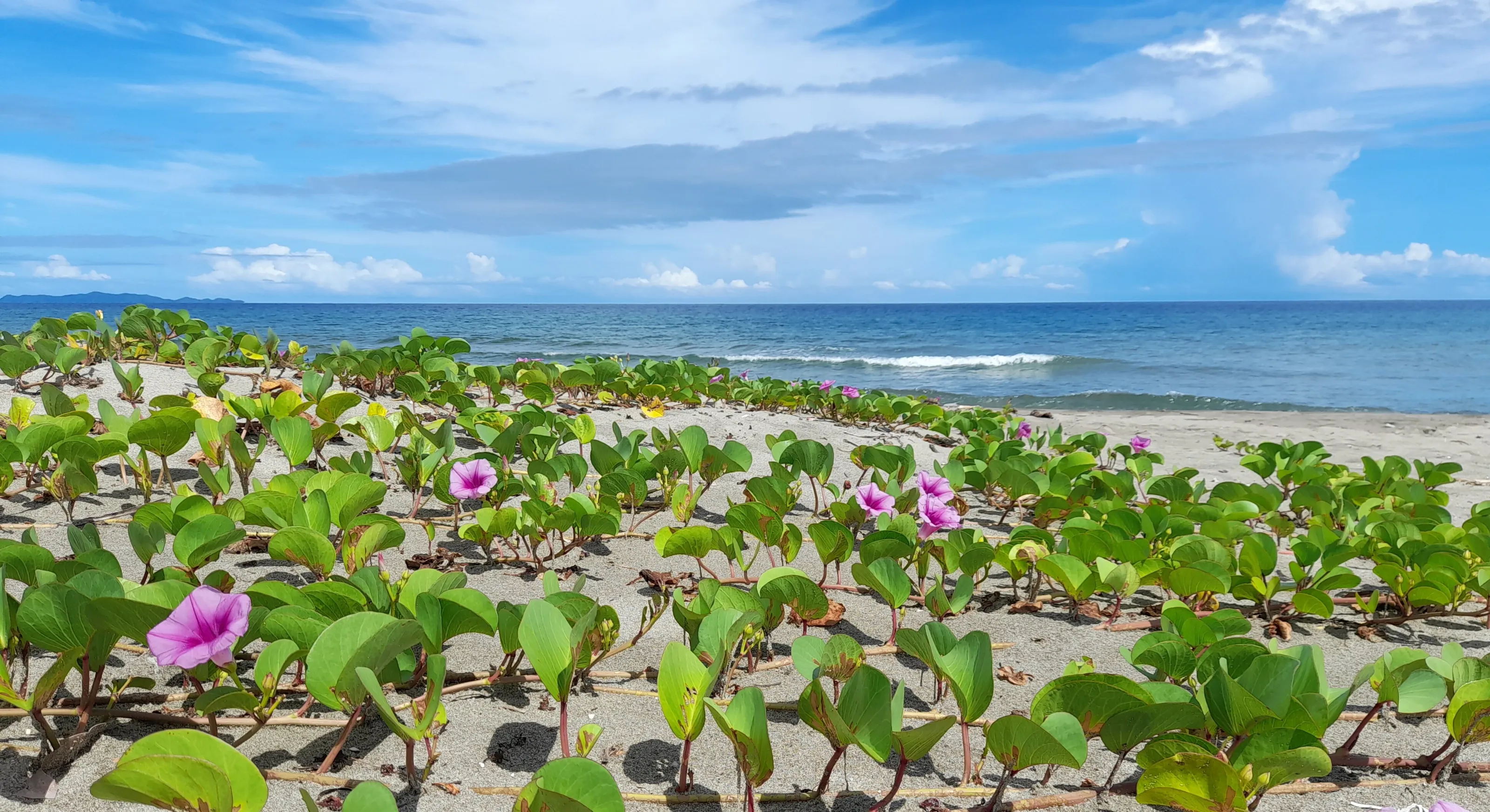 Caribbean sea in Honduras