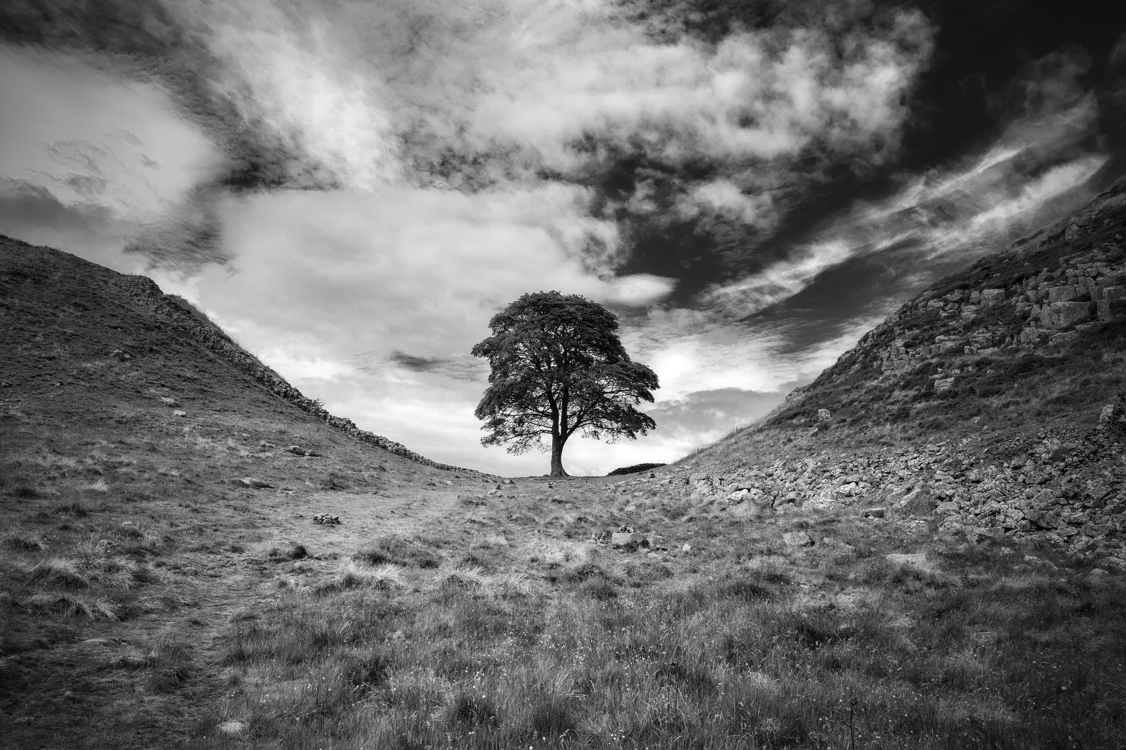 Sycamore Gap