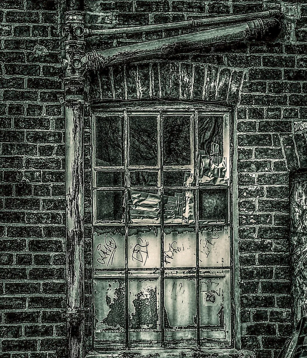 Entry 17997621