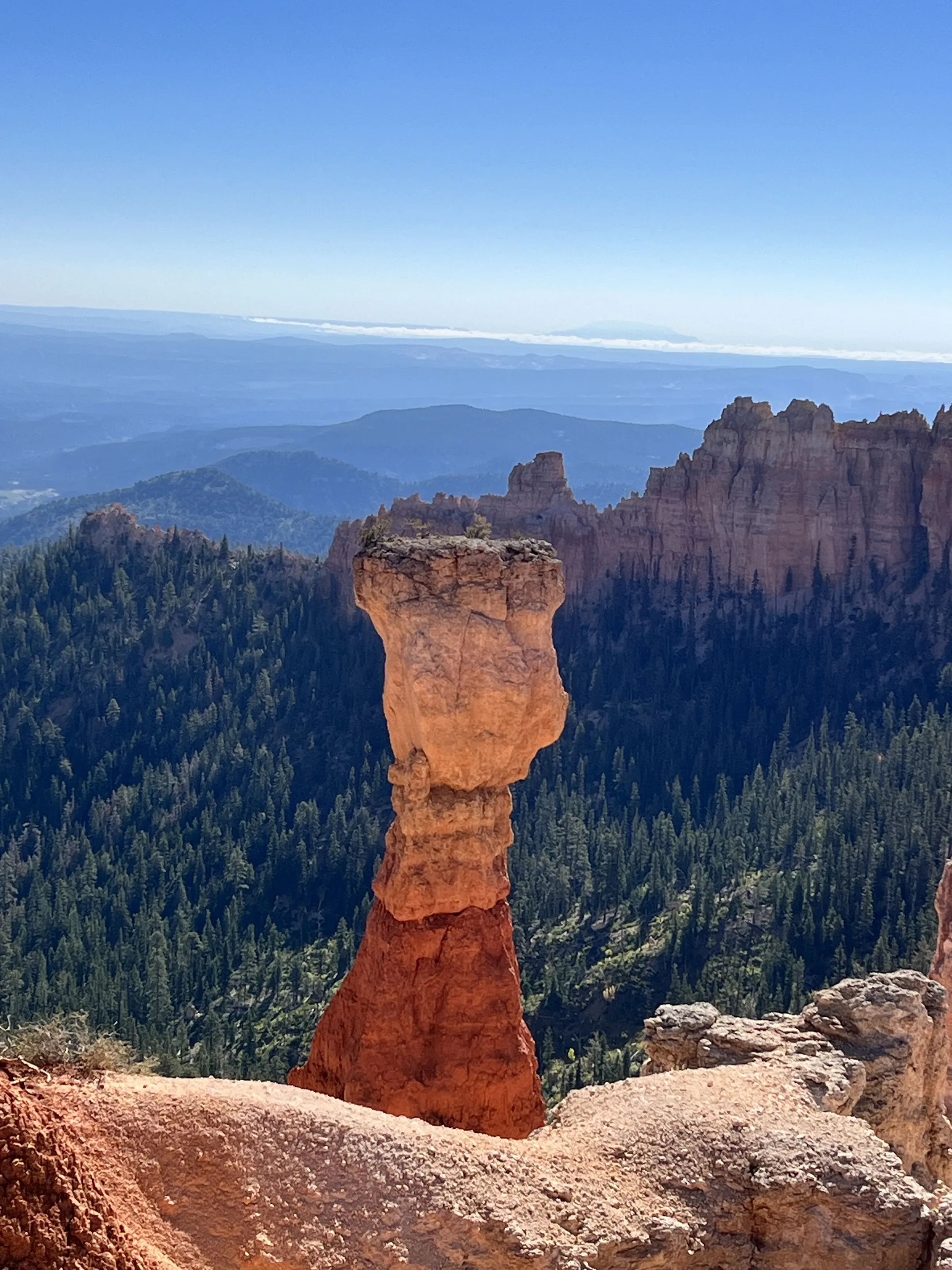 Bryce Pedestal