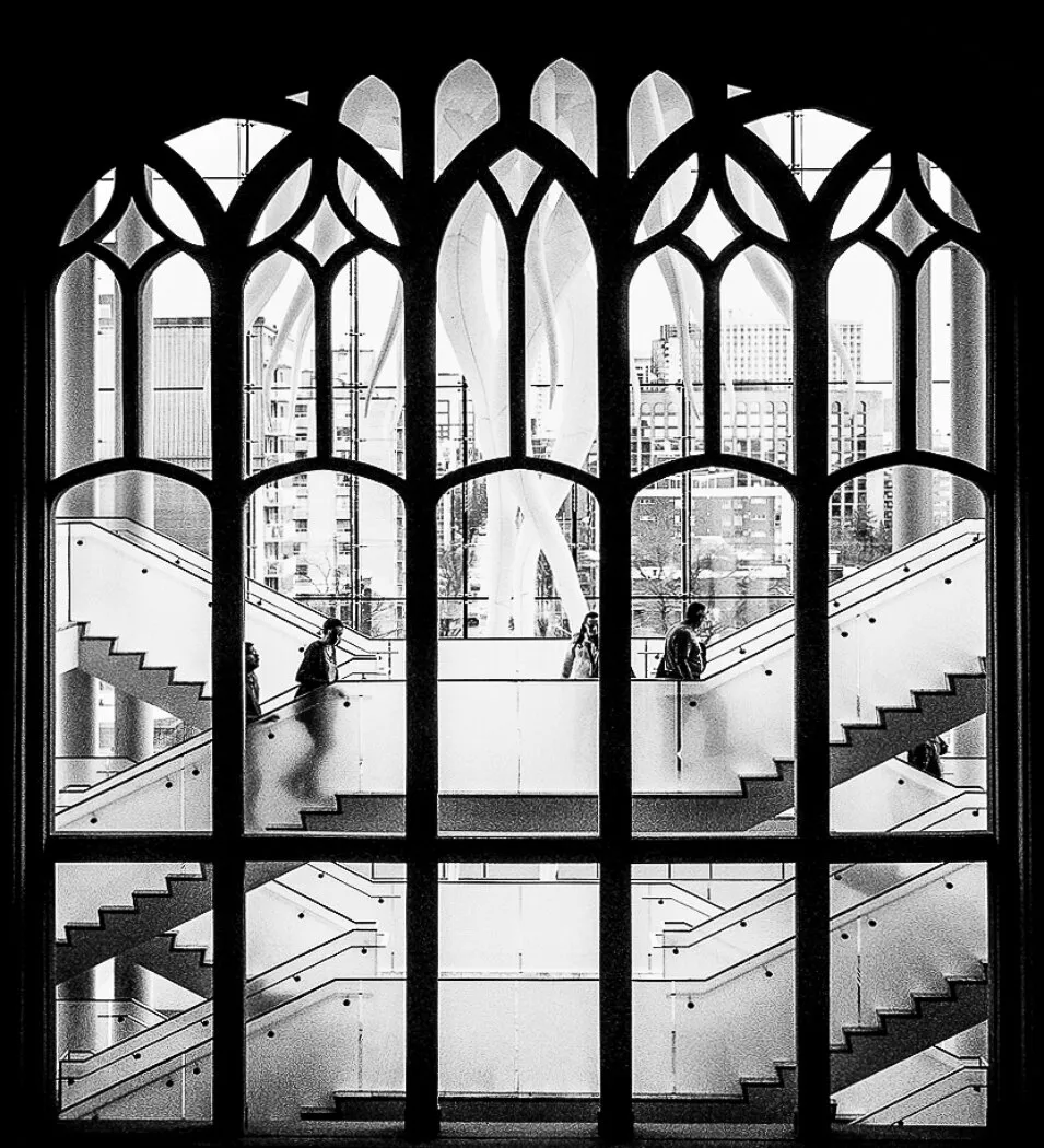 Museum of Natural History