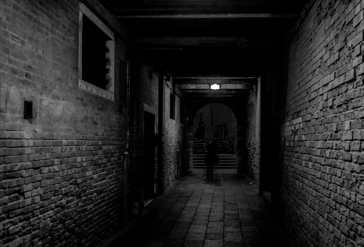 Entry 19481353