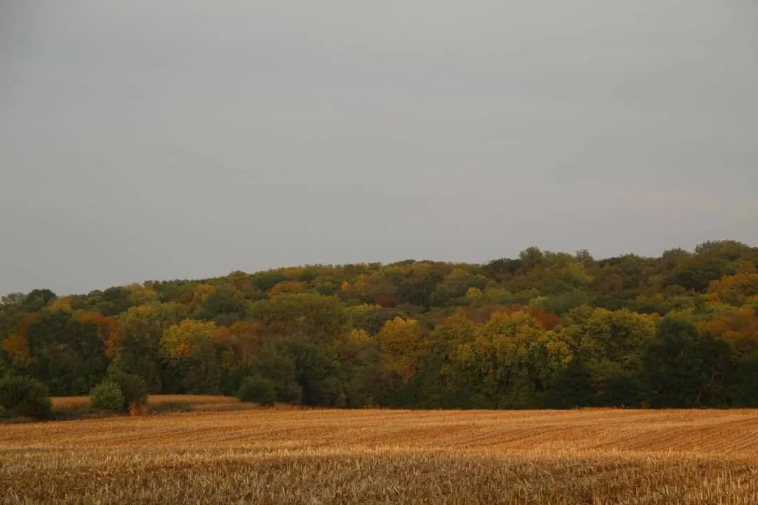 Autumn in the heartland