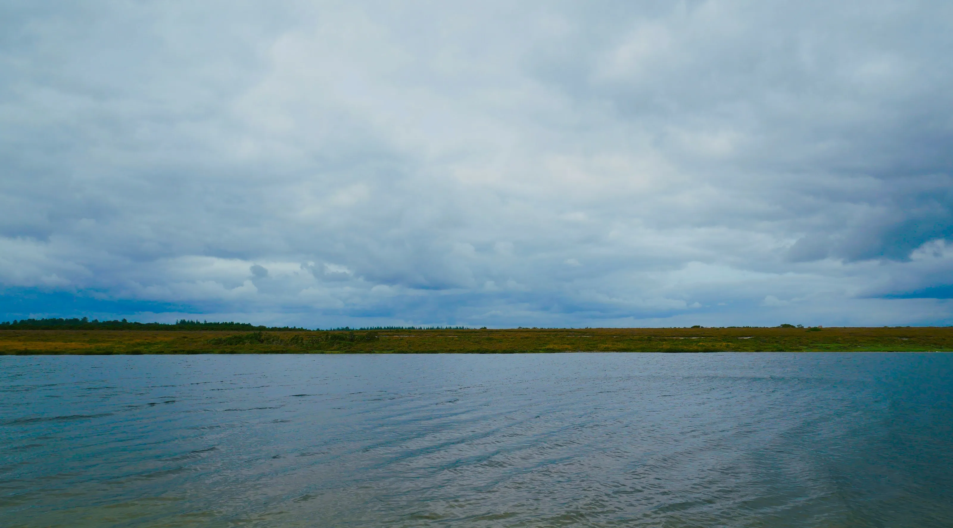 Thatchet Pond - New Forest UK