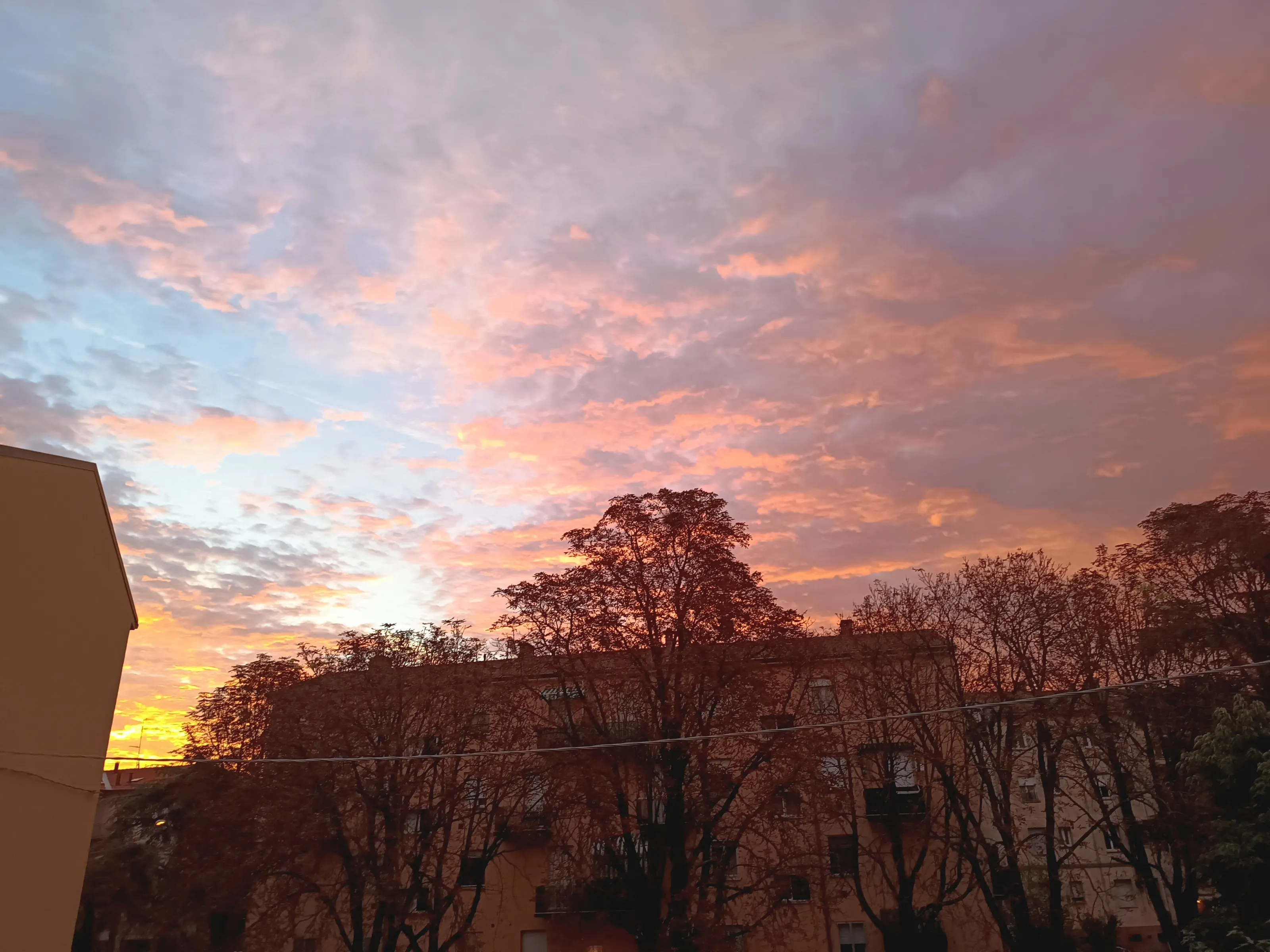through my window