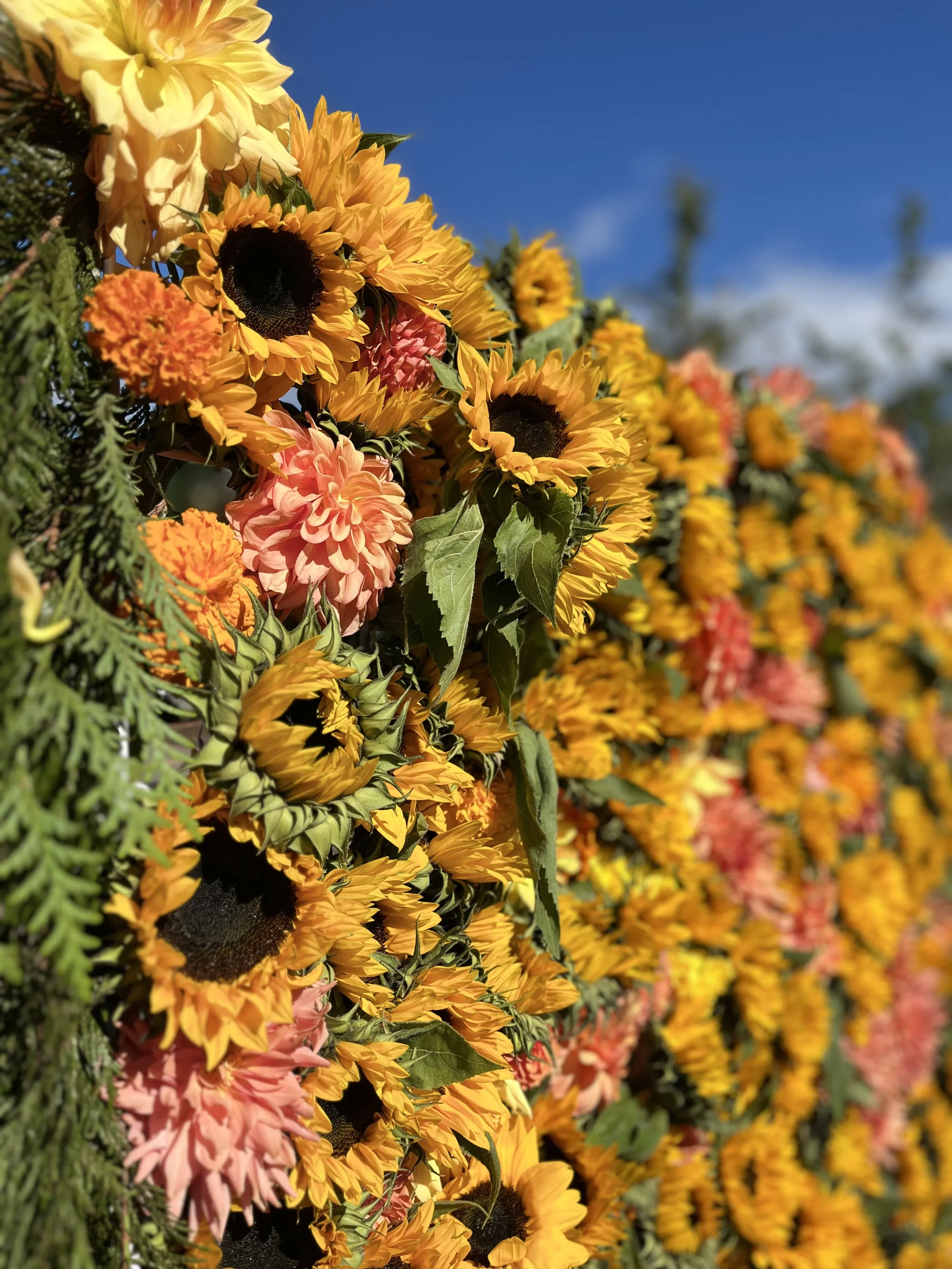 Flower Wall