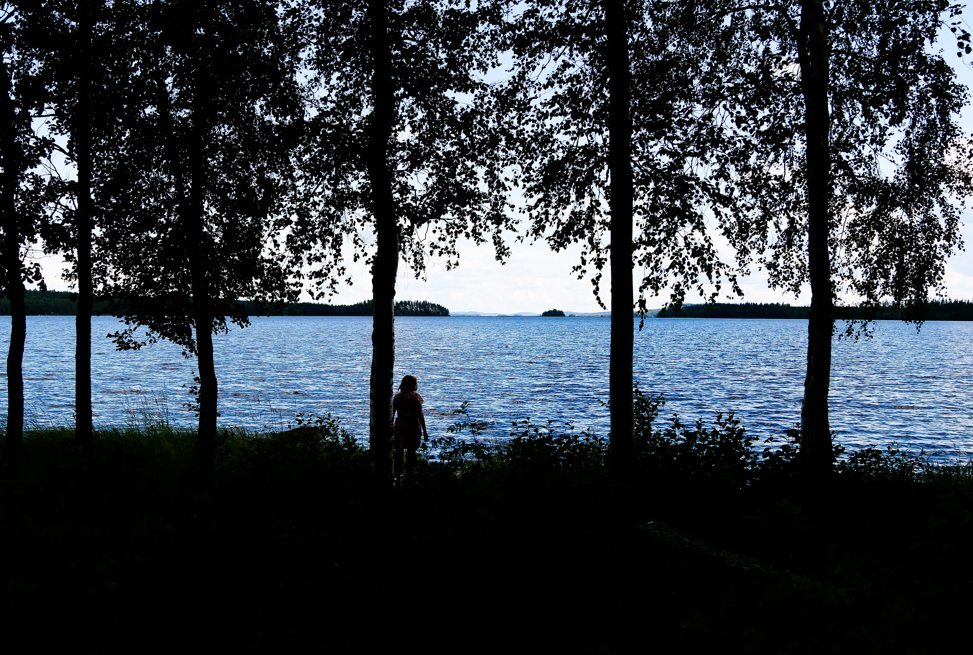 LAKE LANDSCAPE