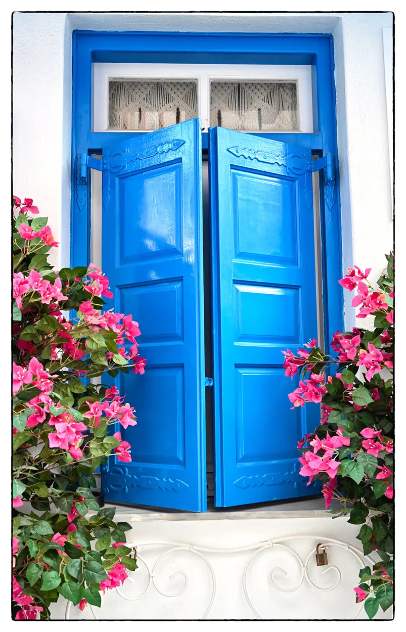 Entry 18058881