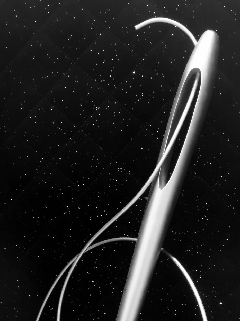Entry 21890307