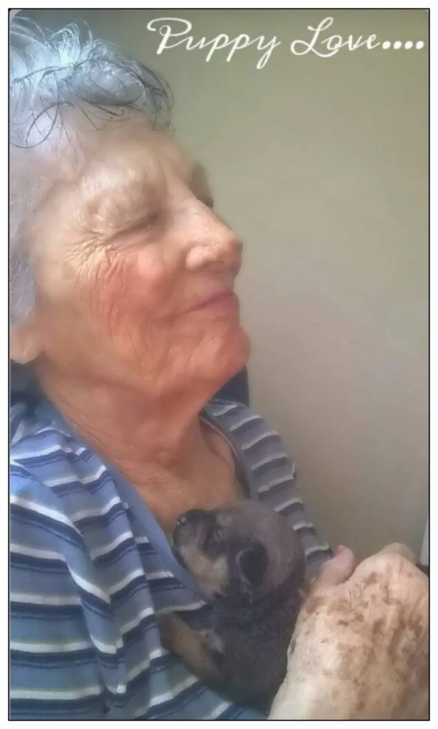 Puppy Love